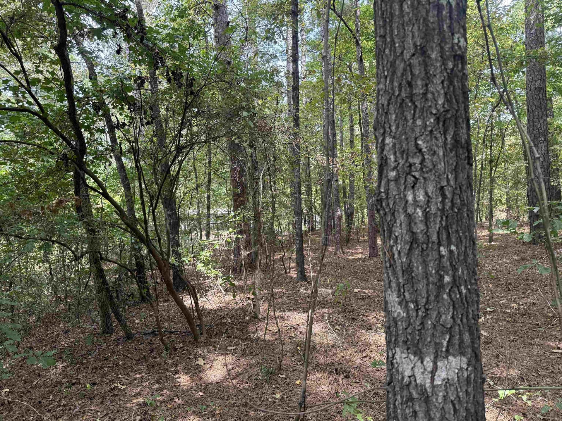0.24 acres in Marion County - photo 4