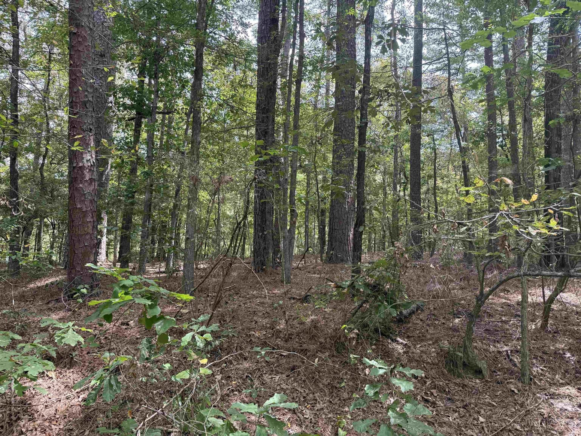 0.24 acres in Marion County - photo 2