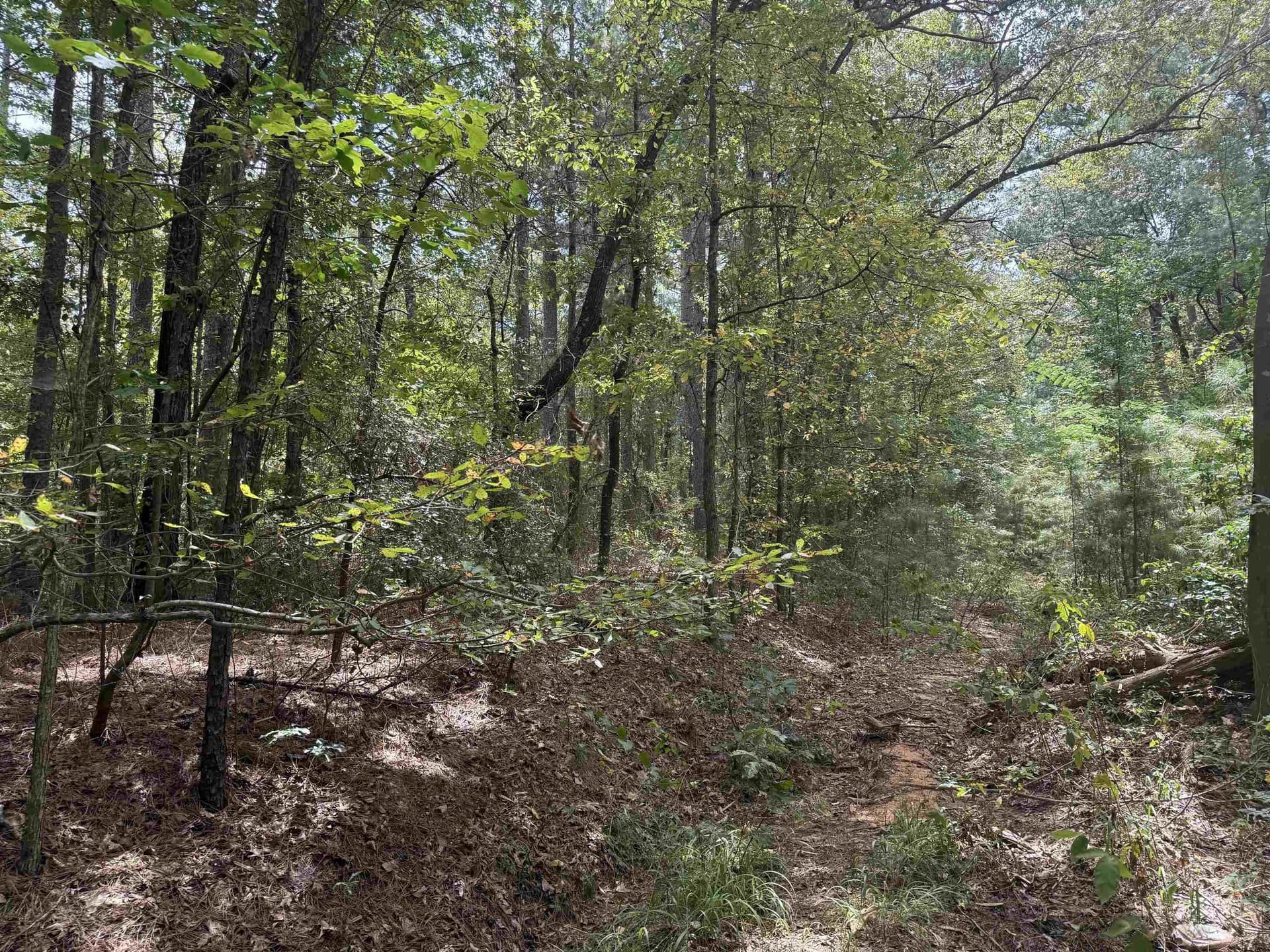 0.24 acres in Marion County - photo 3