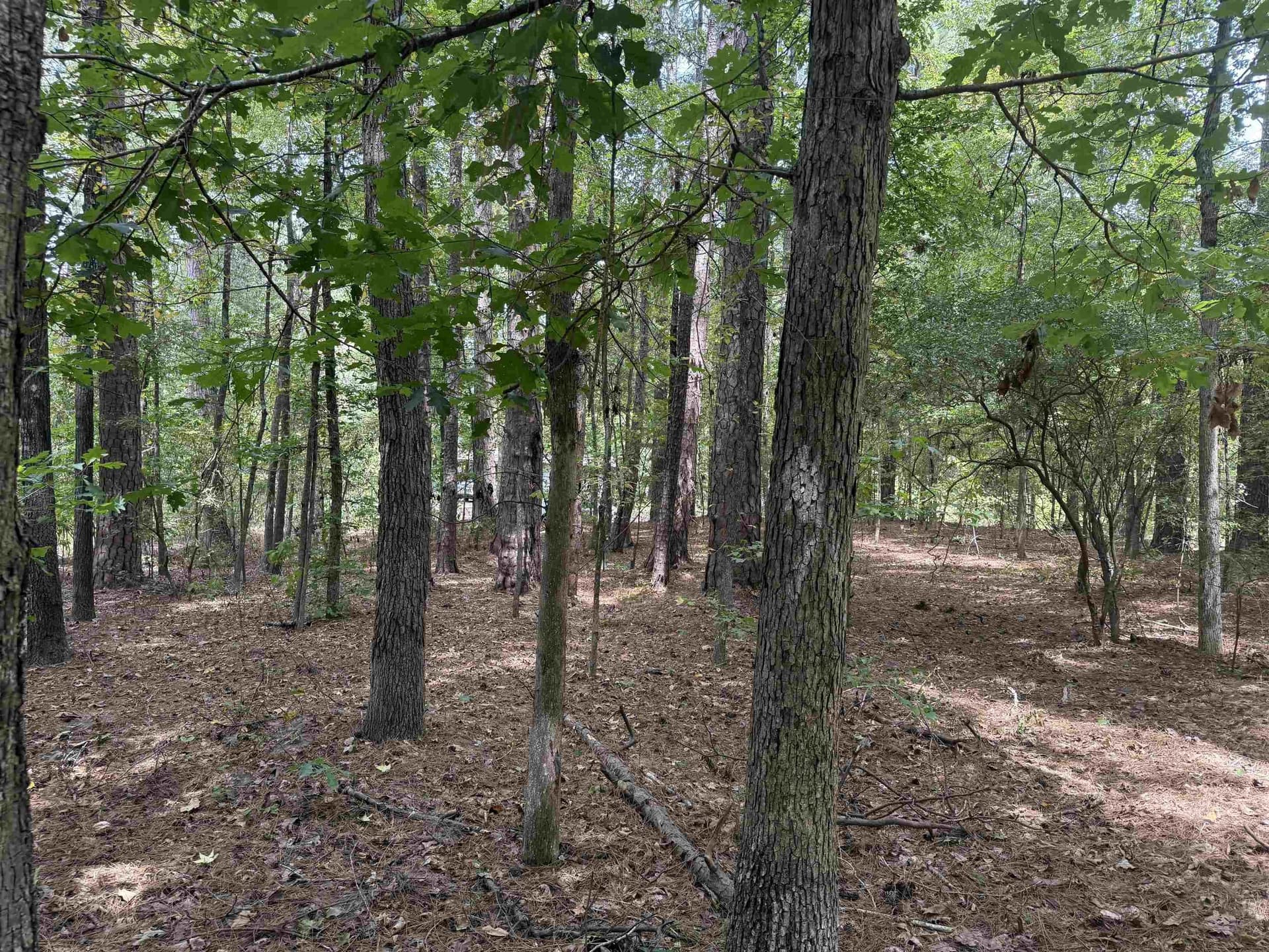 0.24 acres in Marion County - photo 6