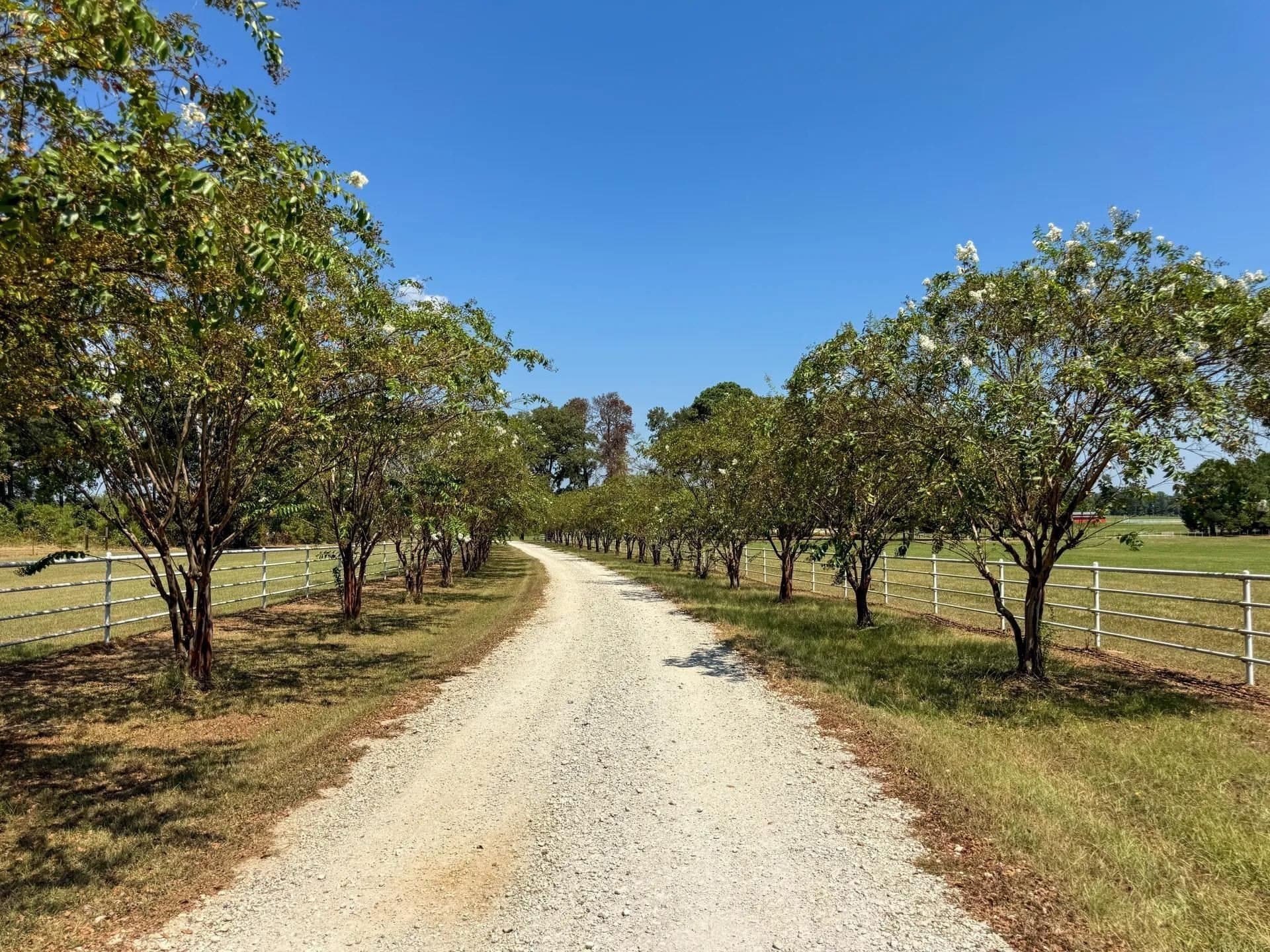 13.17 acres in Marion County - photo 49