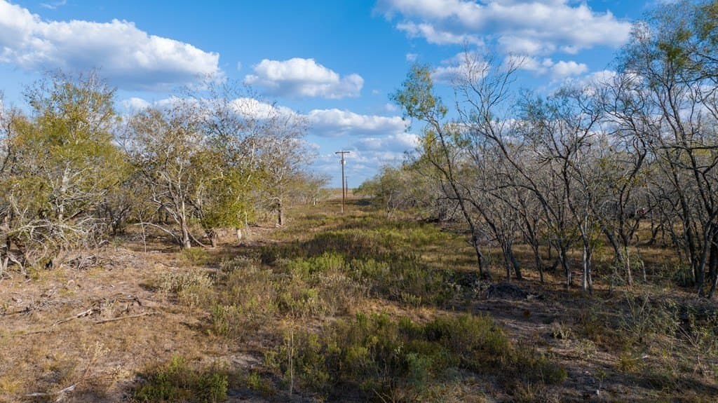 104.4 acres in Texas County gallery image 4