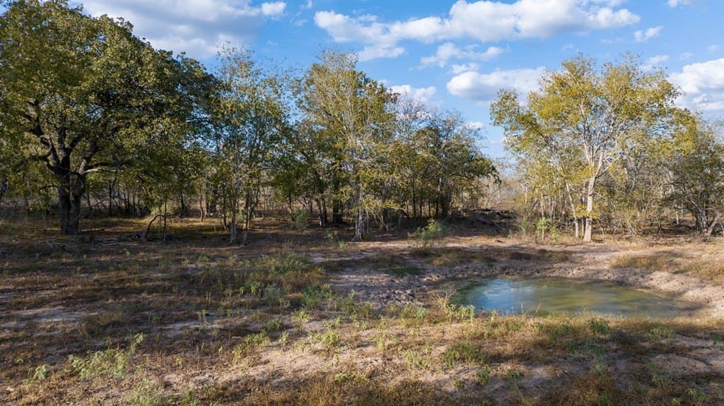 104.4 acres in Texas County gallery image 3