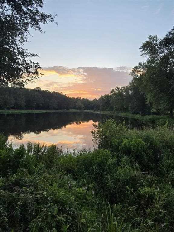 26.47 acres in Lamar County gallery image 4