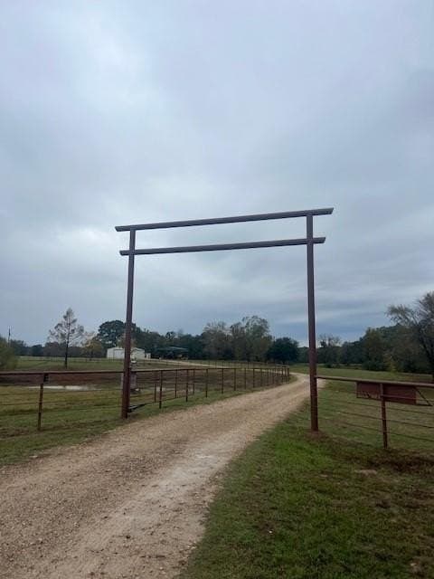 26.47 acres in Lamar County gallery image 2