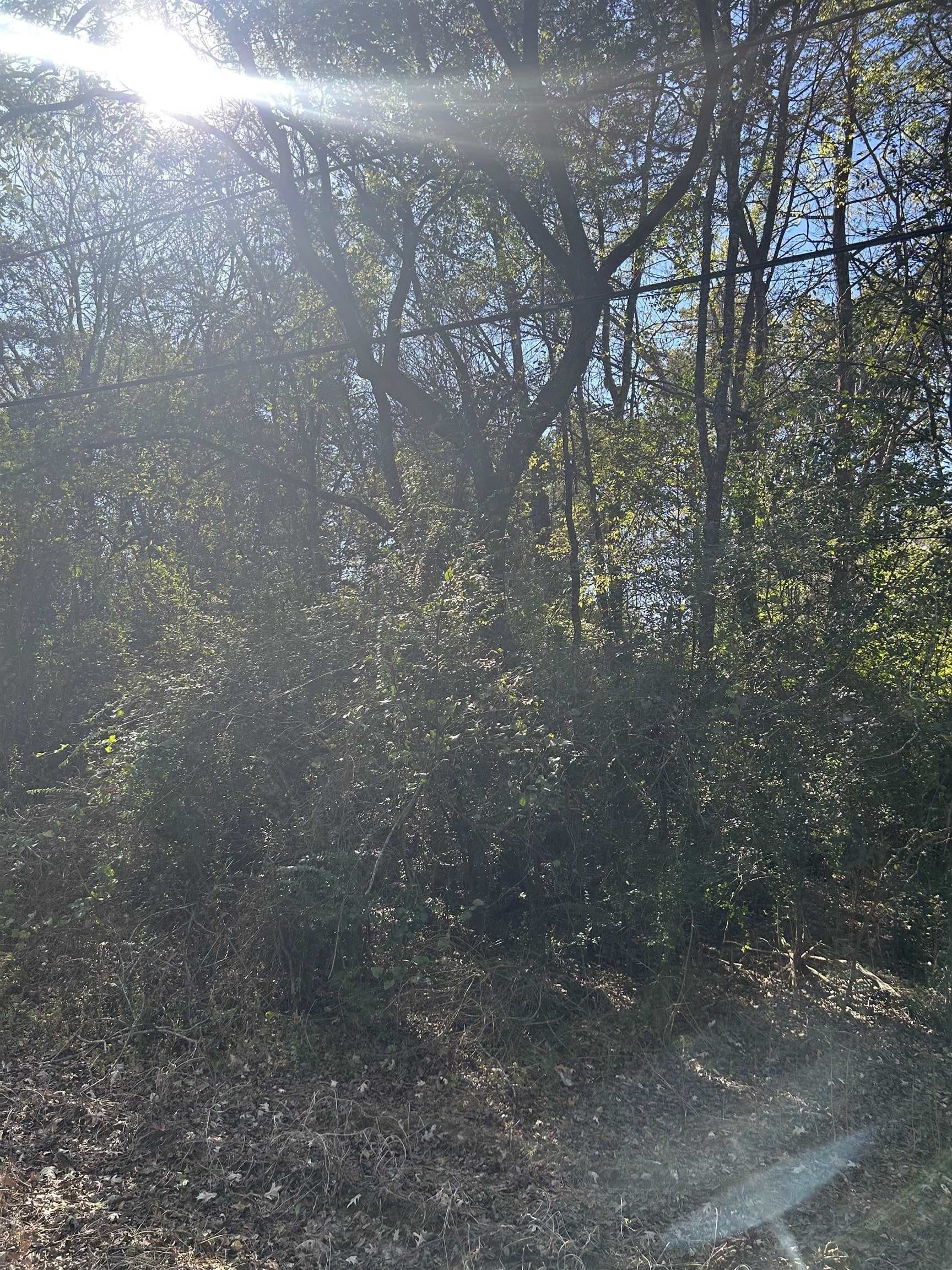 3.1 acres in Texas County - photo 2