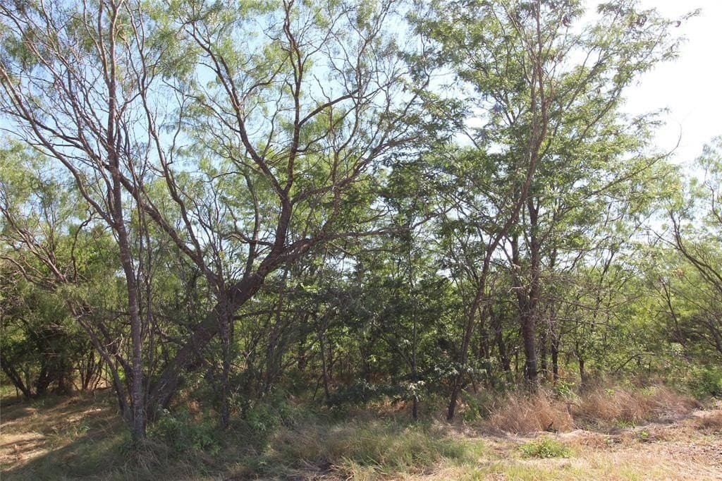 1.51 acres in Kaufman County gallery image 3