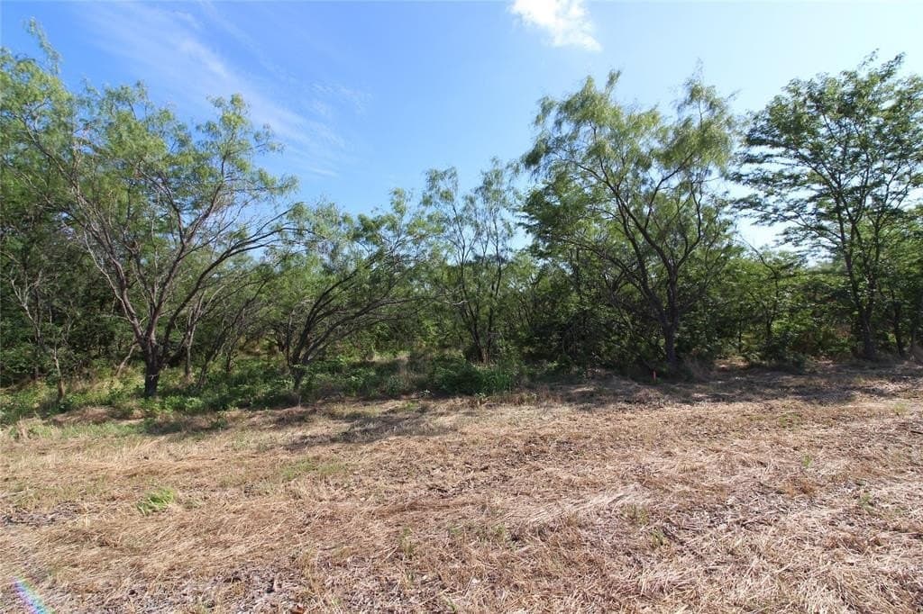 1.51 acres in Kaufman County gallery image 4