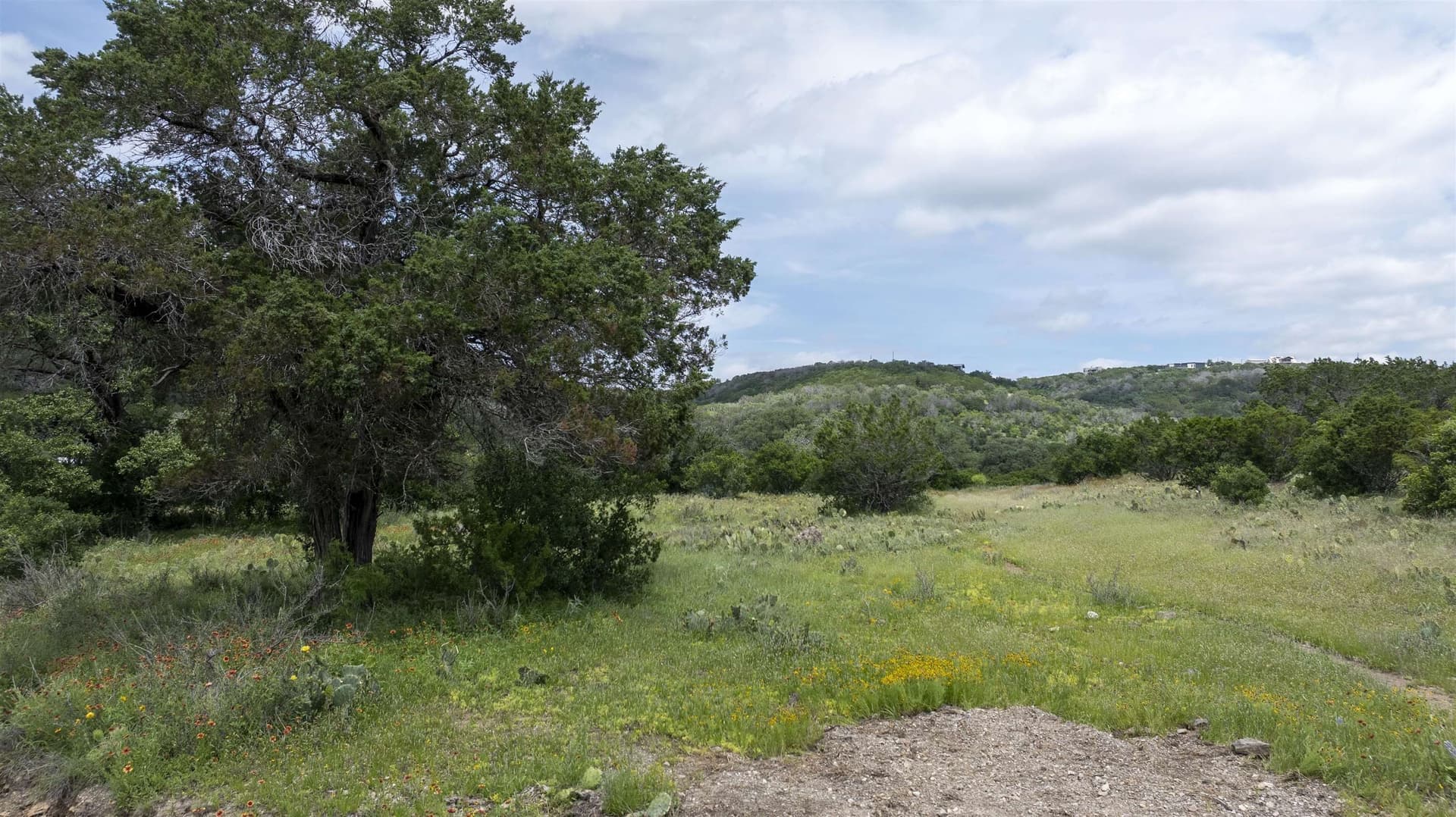 15.69 acres in Burnet County gallery image 4