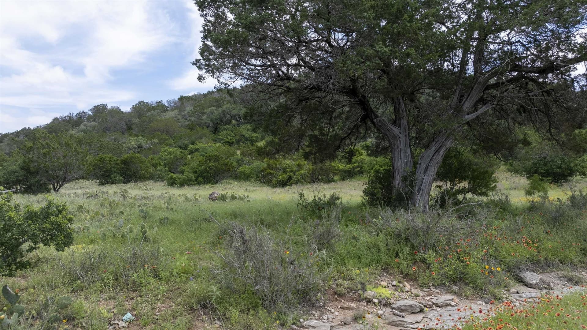 15.69 acres in Burnet County featured view