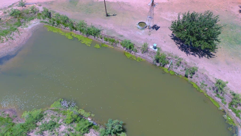 121.9 acres in Midland County - photo 9