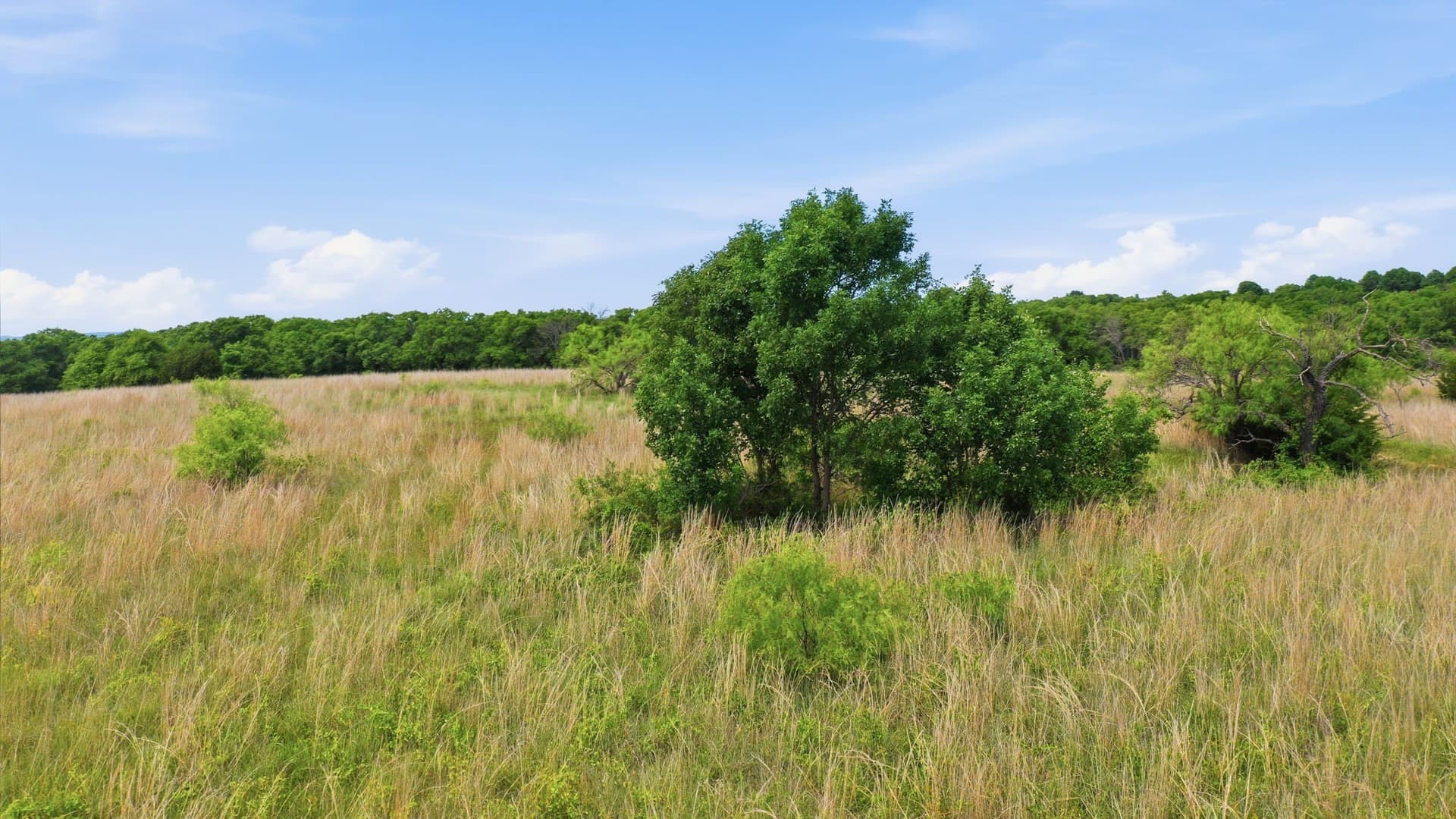5.42 acres in Parker County - photo 10