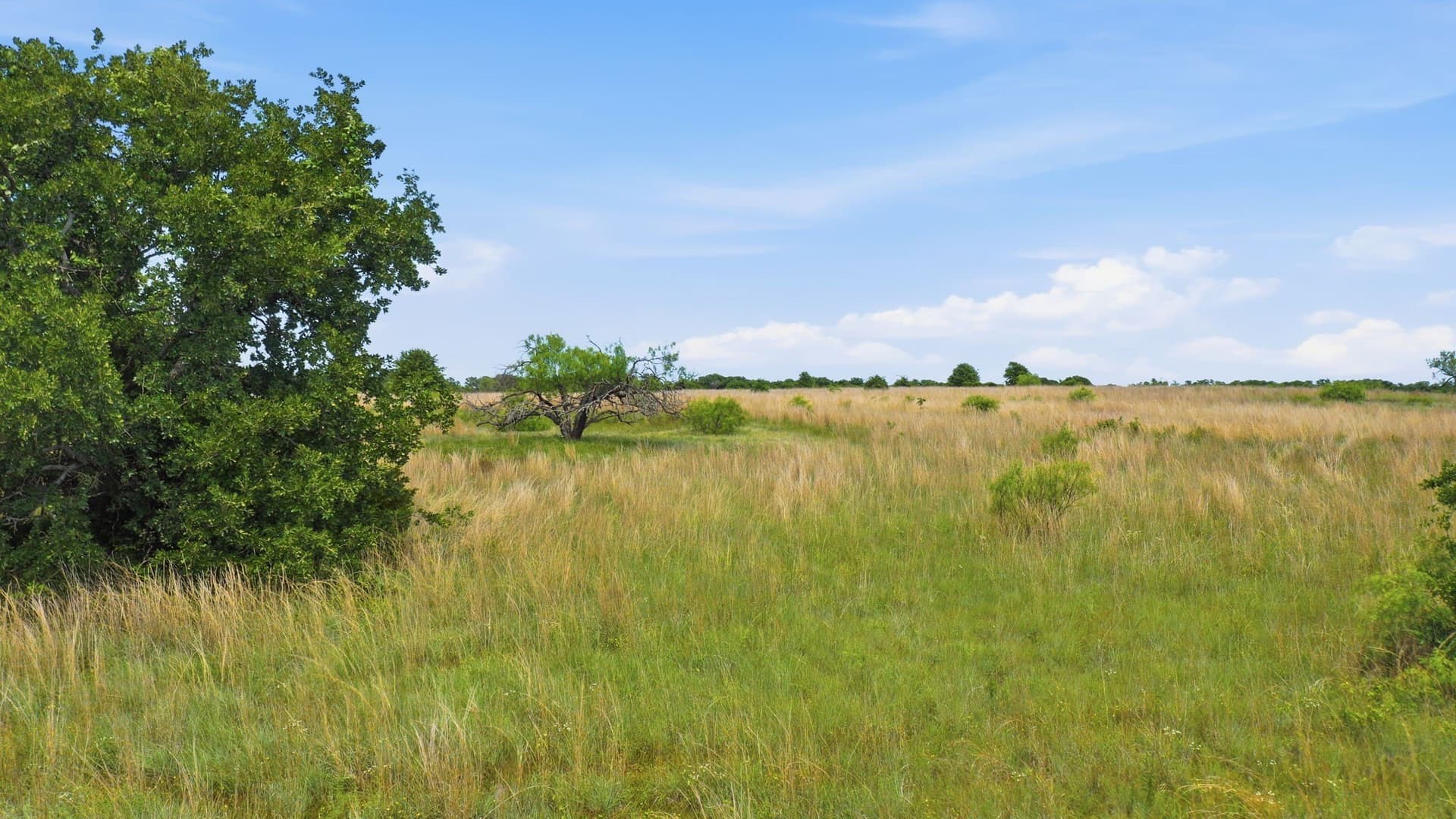 5.42 acres in Parker County - photo 16