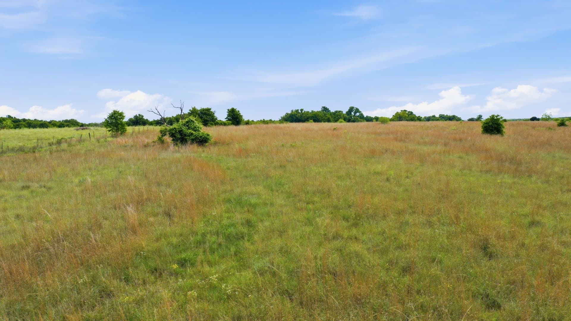 5.42 acres in Parker County - photo 20
