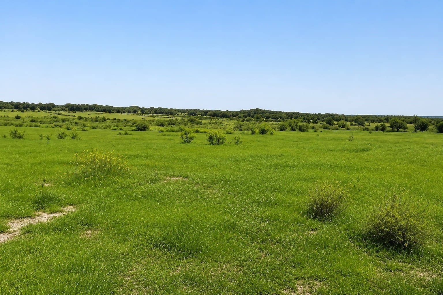 1.07 acres in Parker County gallery image 2