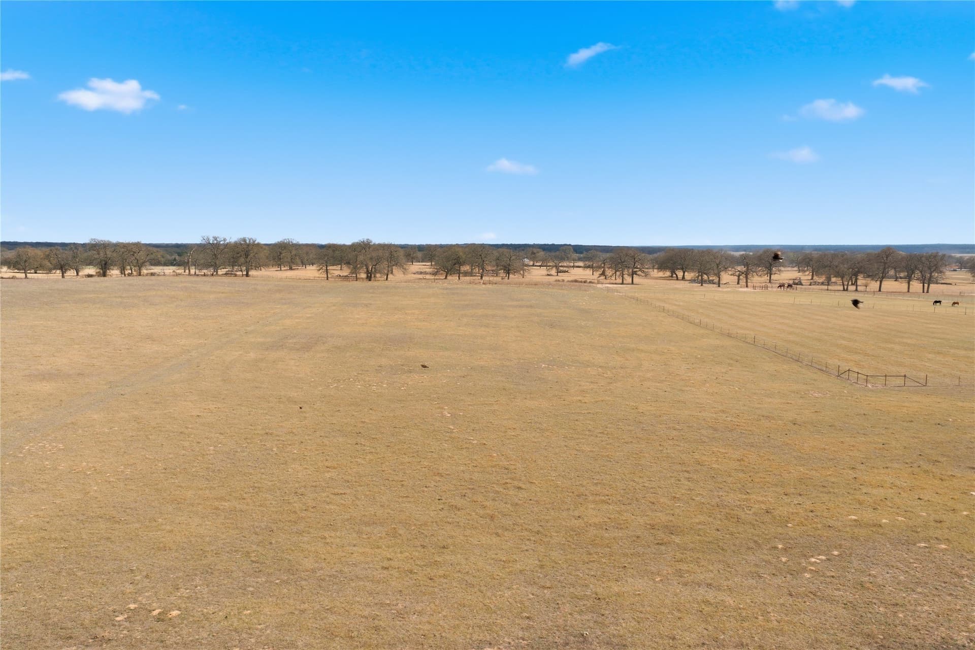 18.09 acres in Hill County - photo 16
