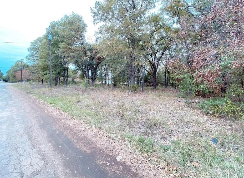 0.15 acres in Henderson County gallery image 3