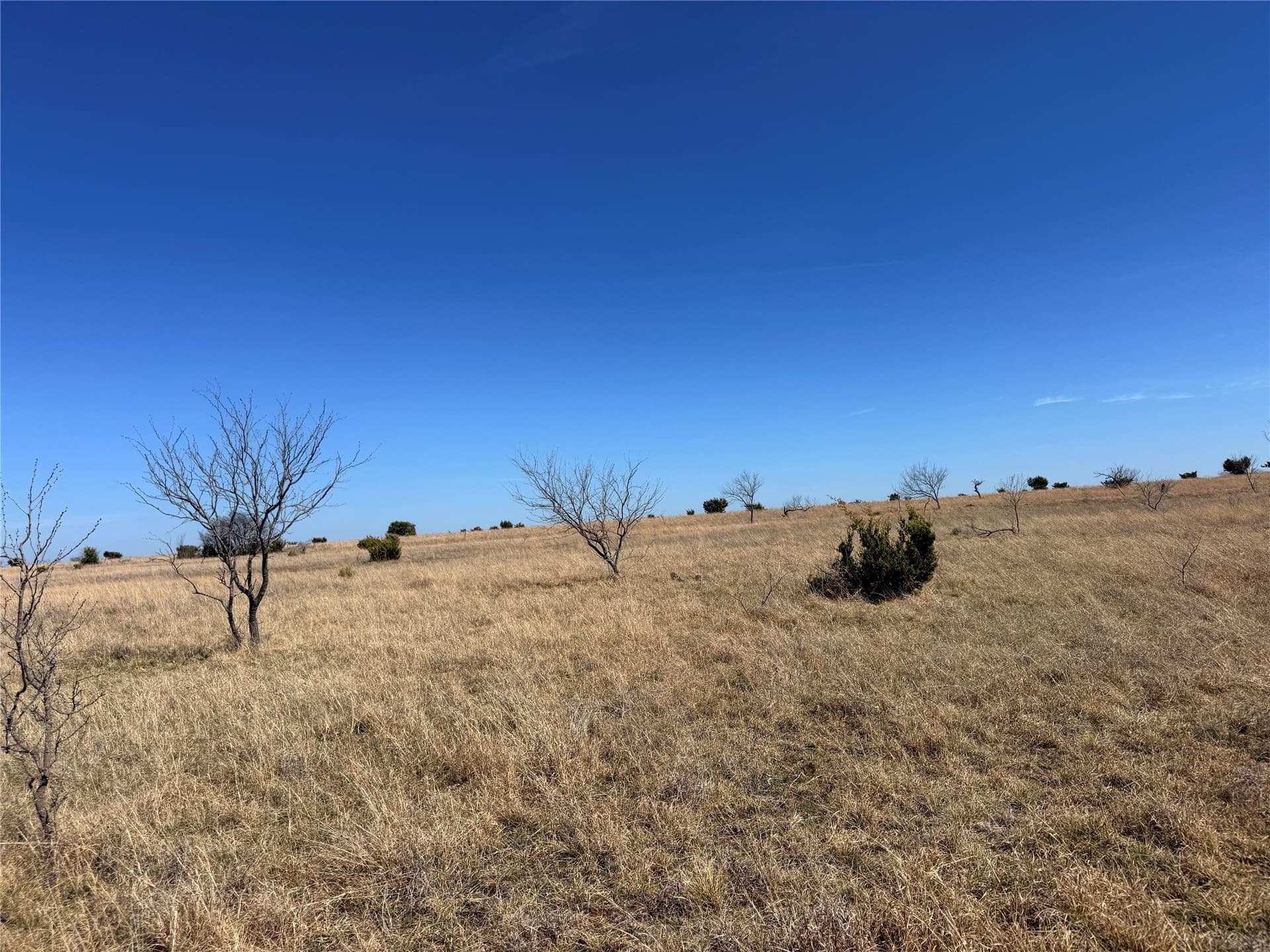 27 acres in Hamilton County - photo 6