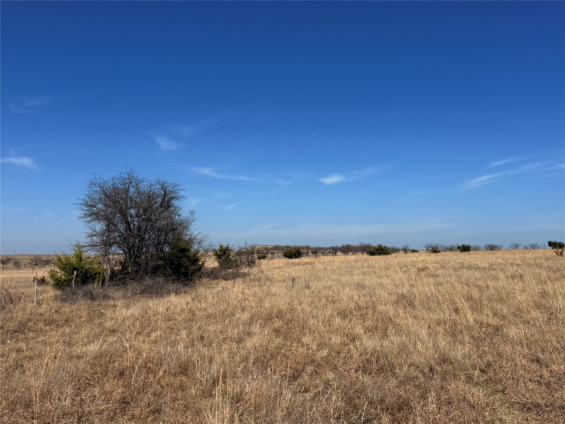 27 acres in Hamilton County - photo 14