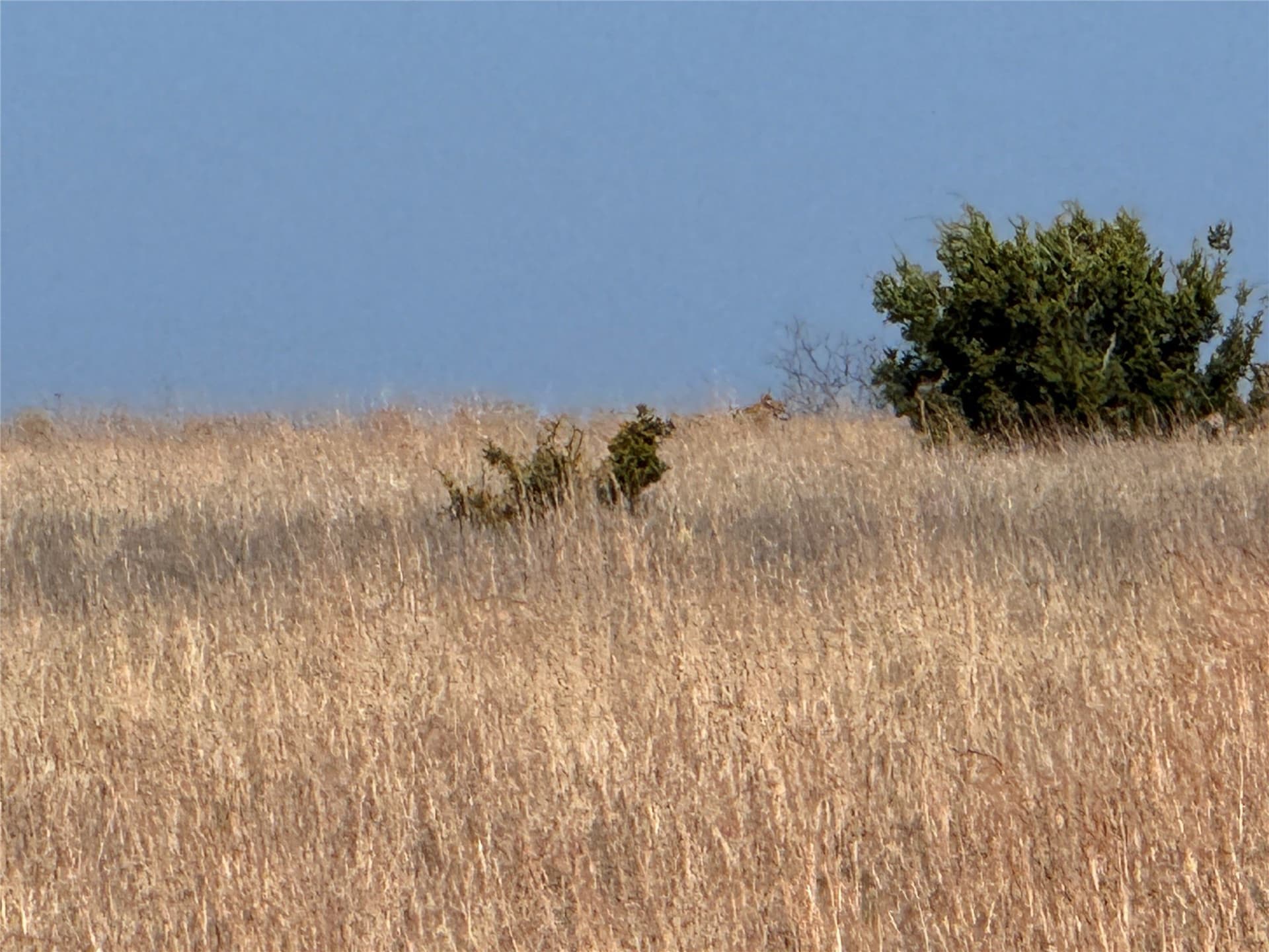 27 acres in Hamilton County - photo 23