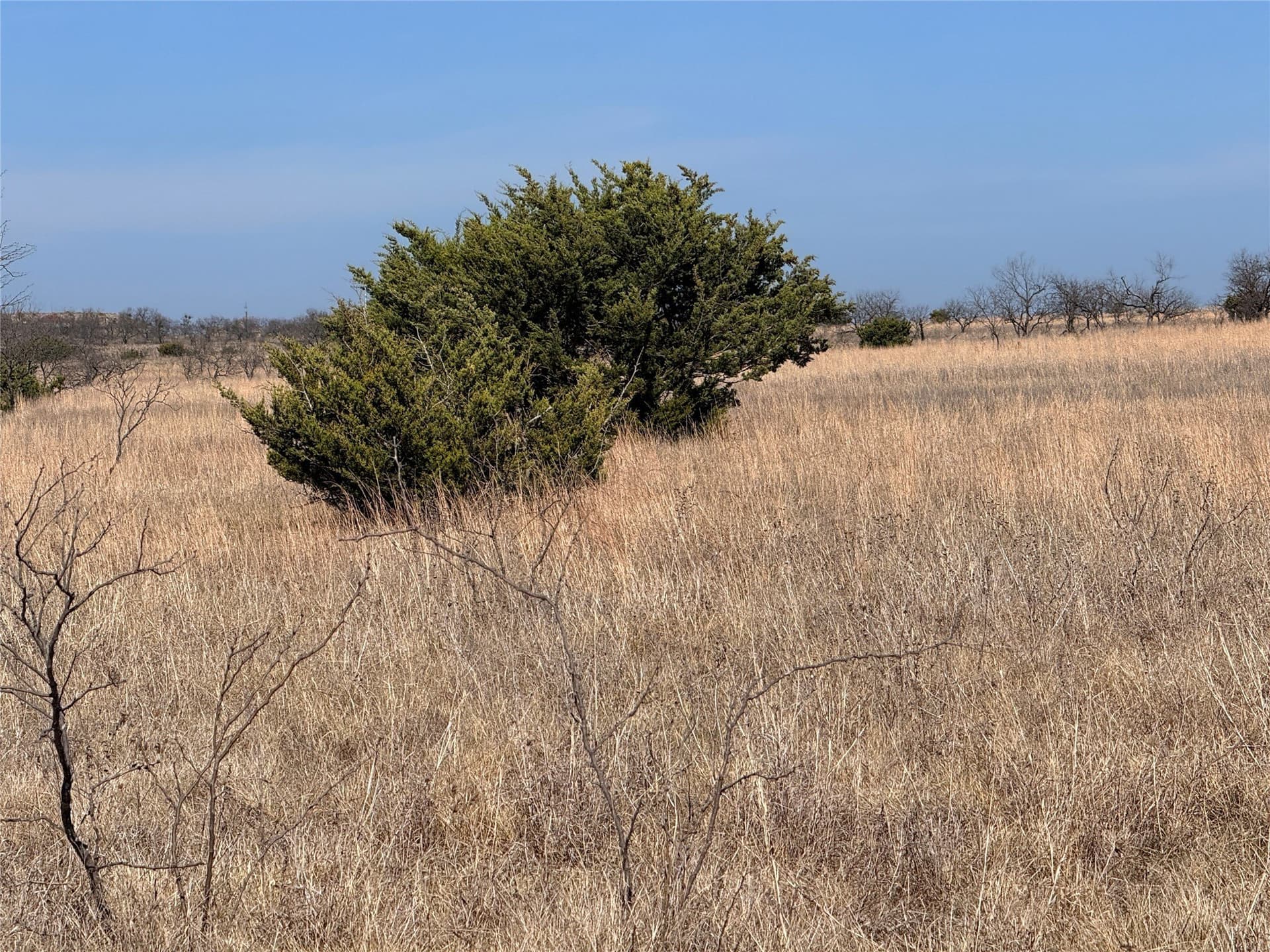 27 acres in Hamilton County - photo 3