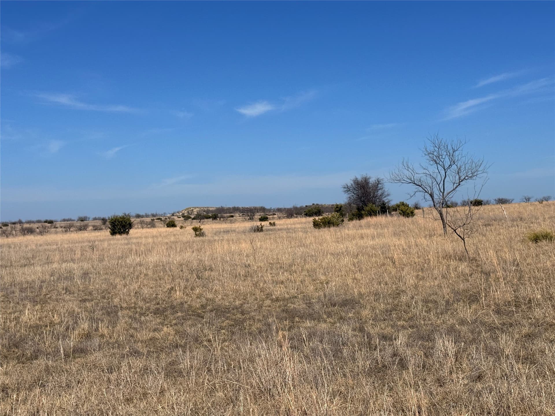 27 acres in Hamilton County - photo 10