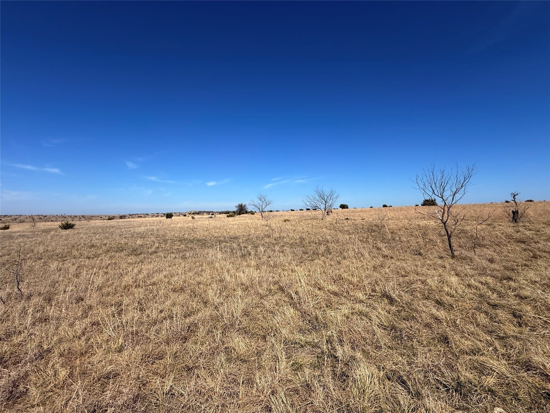 27 acres in Hamilton County - photo 11