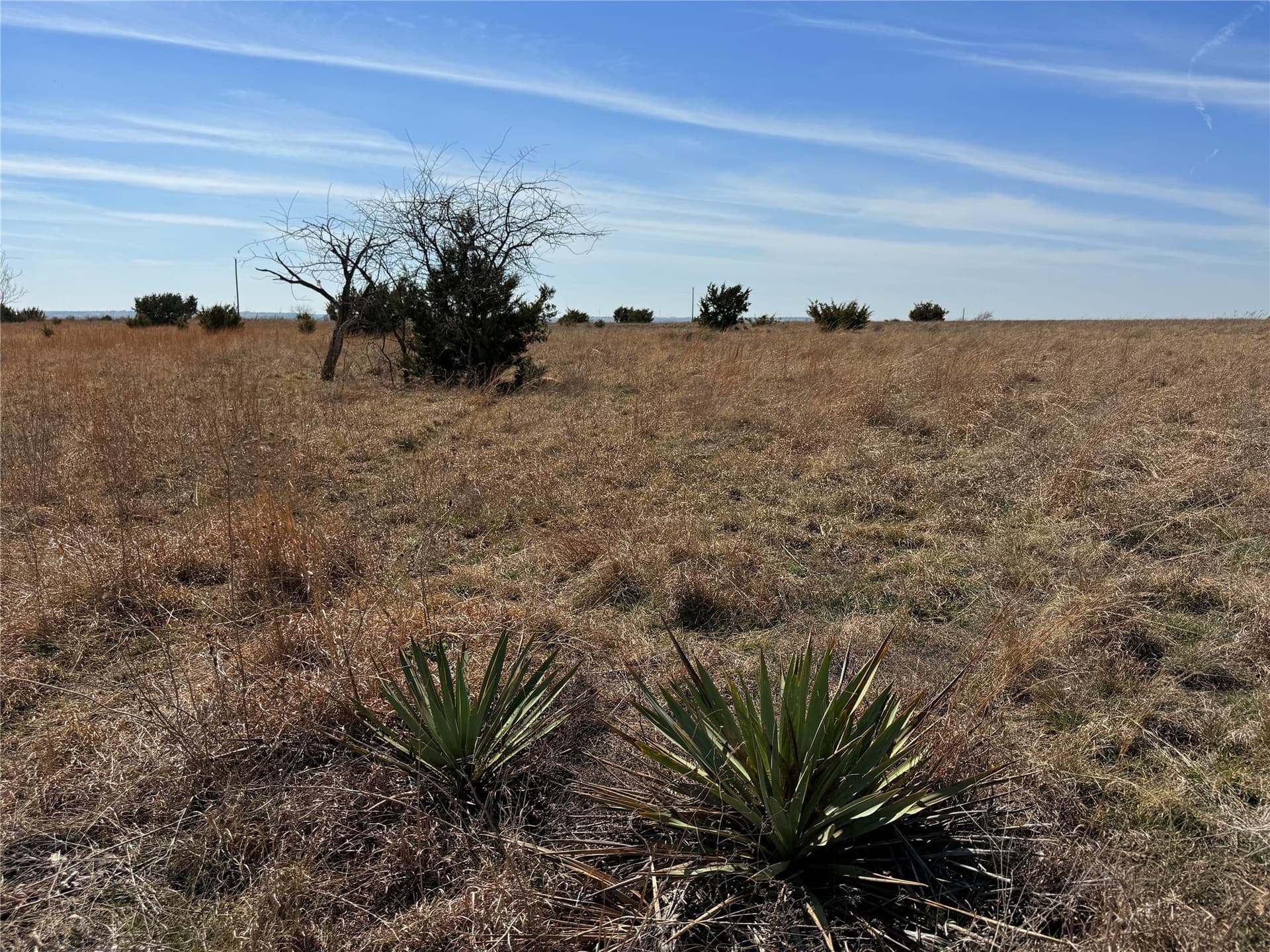27 acres in Hamilton County - photo 21