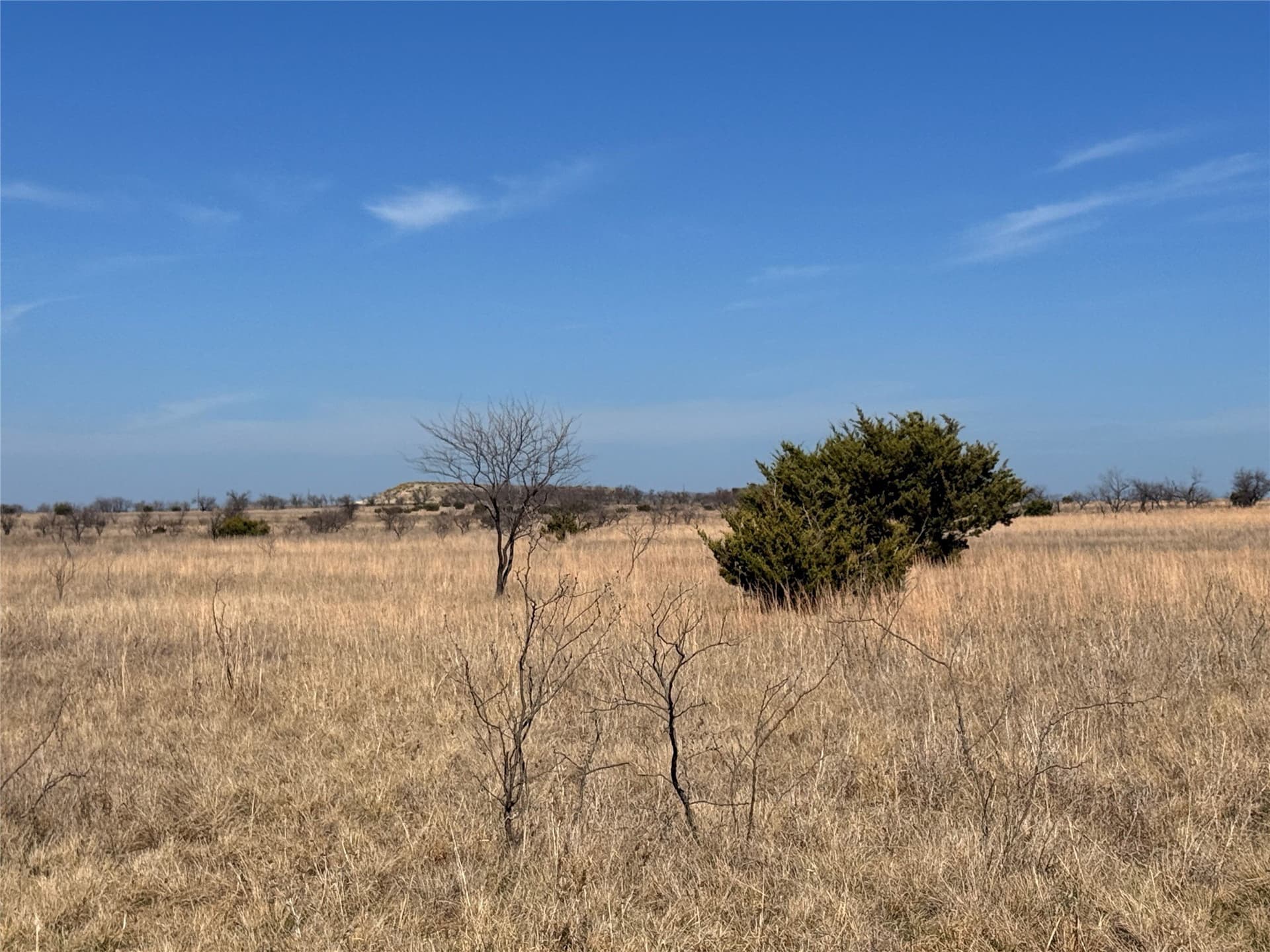 27 acres in Hamilton County - photo 7
