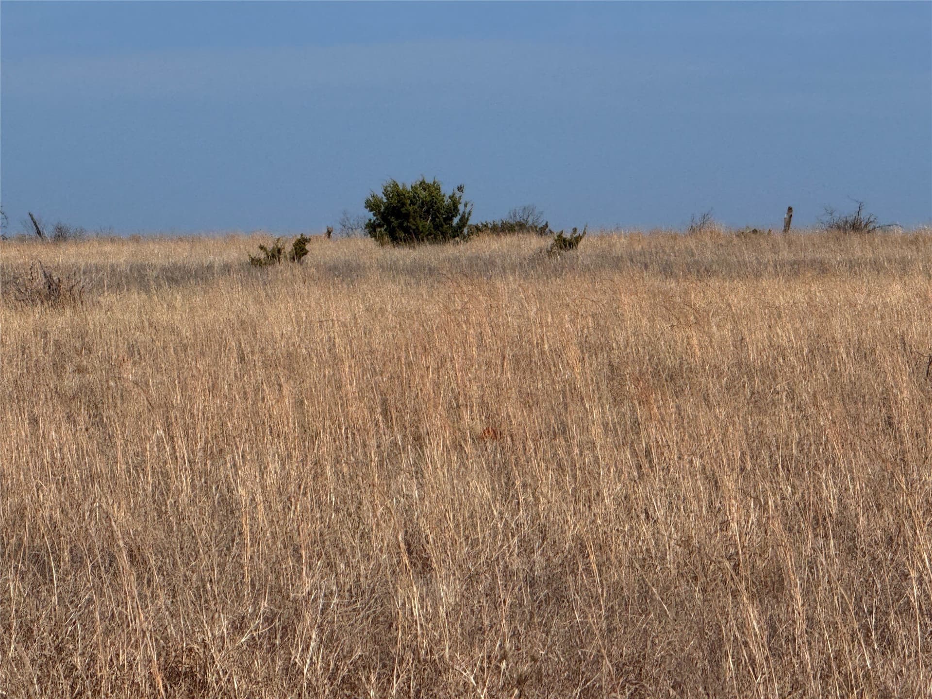 27 acres in Hamilton County - photo 22