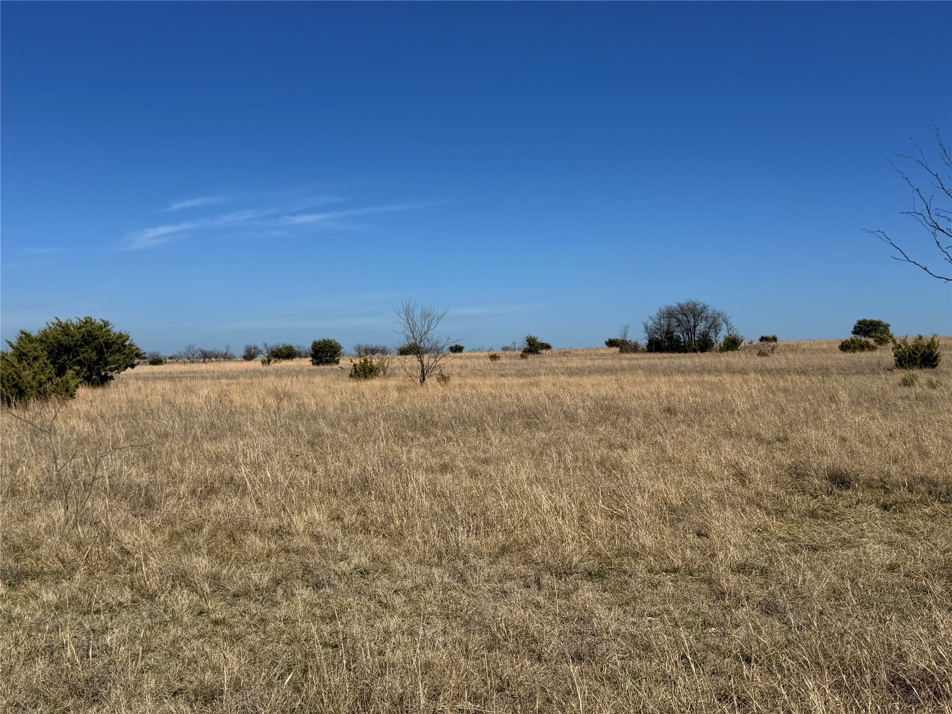 27 acres in Hamilton County - photo 8