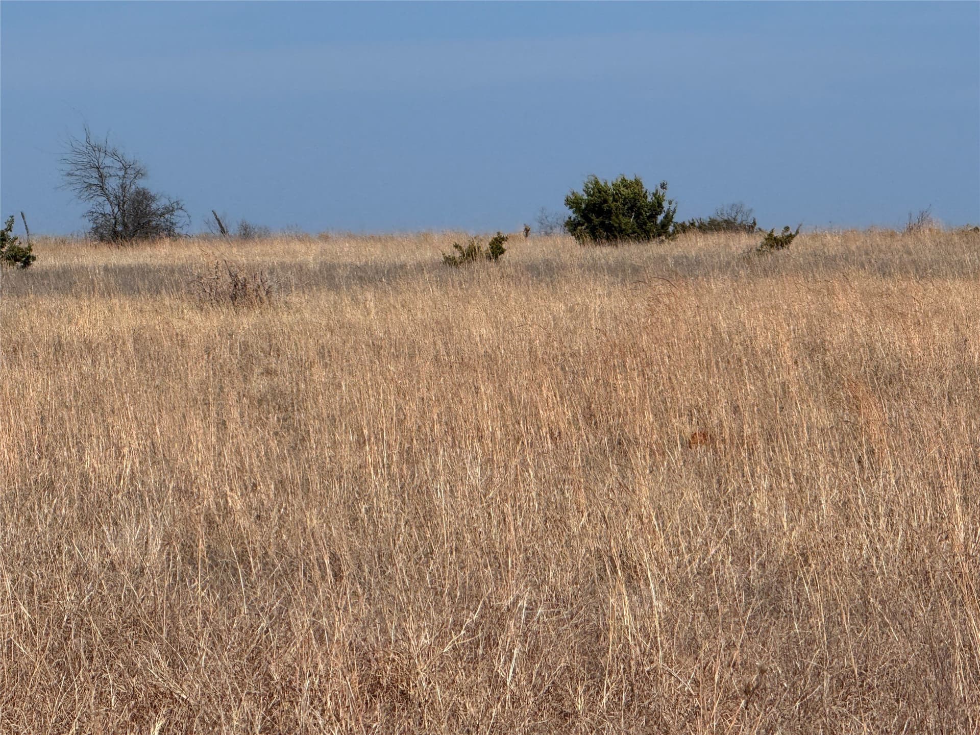 27 acres in Hamilton County - photo 24
