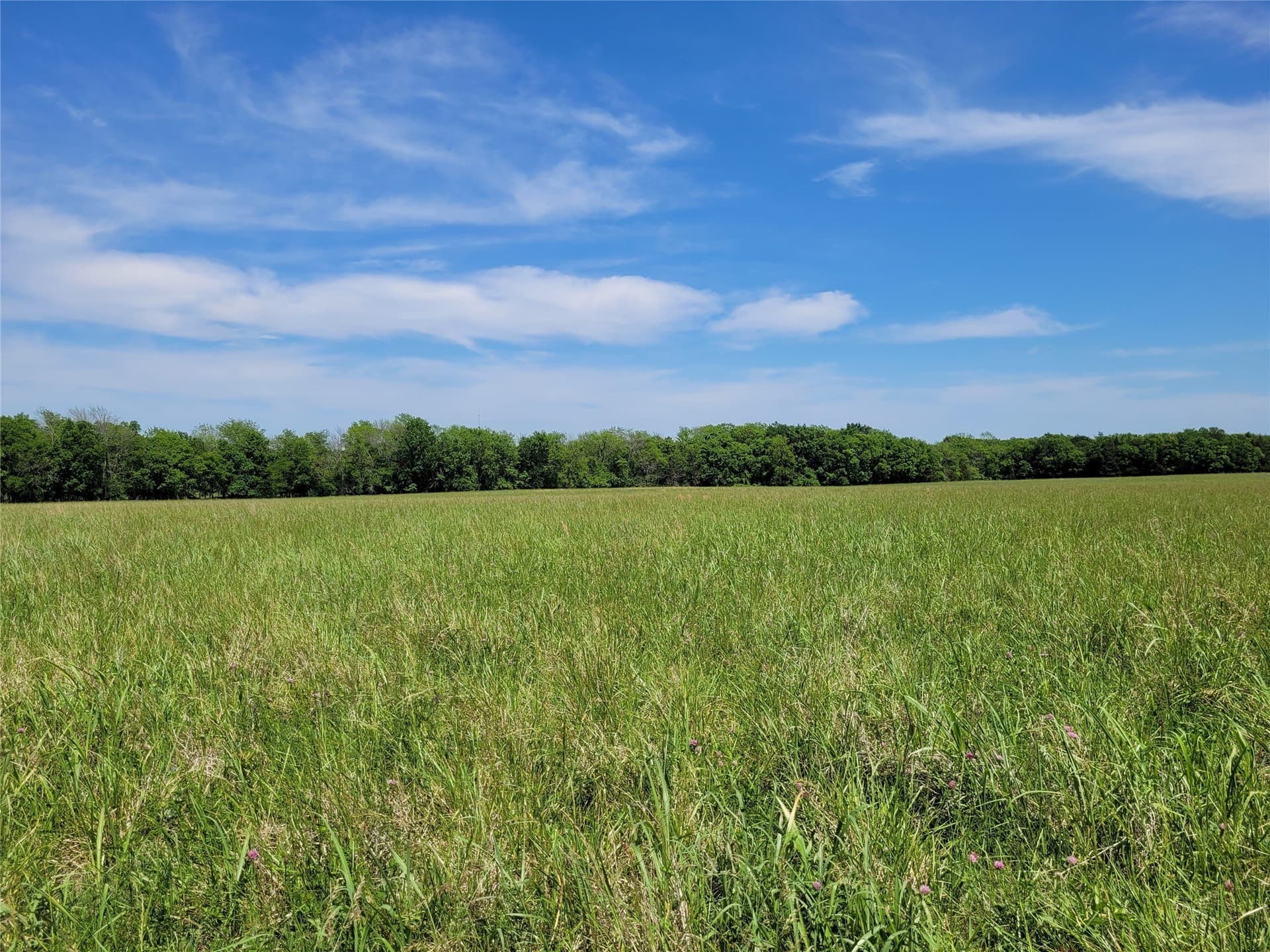 30 acres in Red River (TX) County - photo 15
