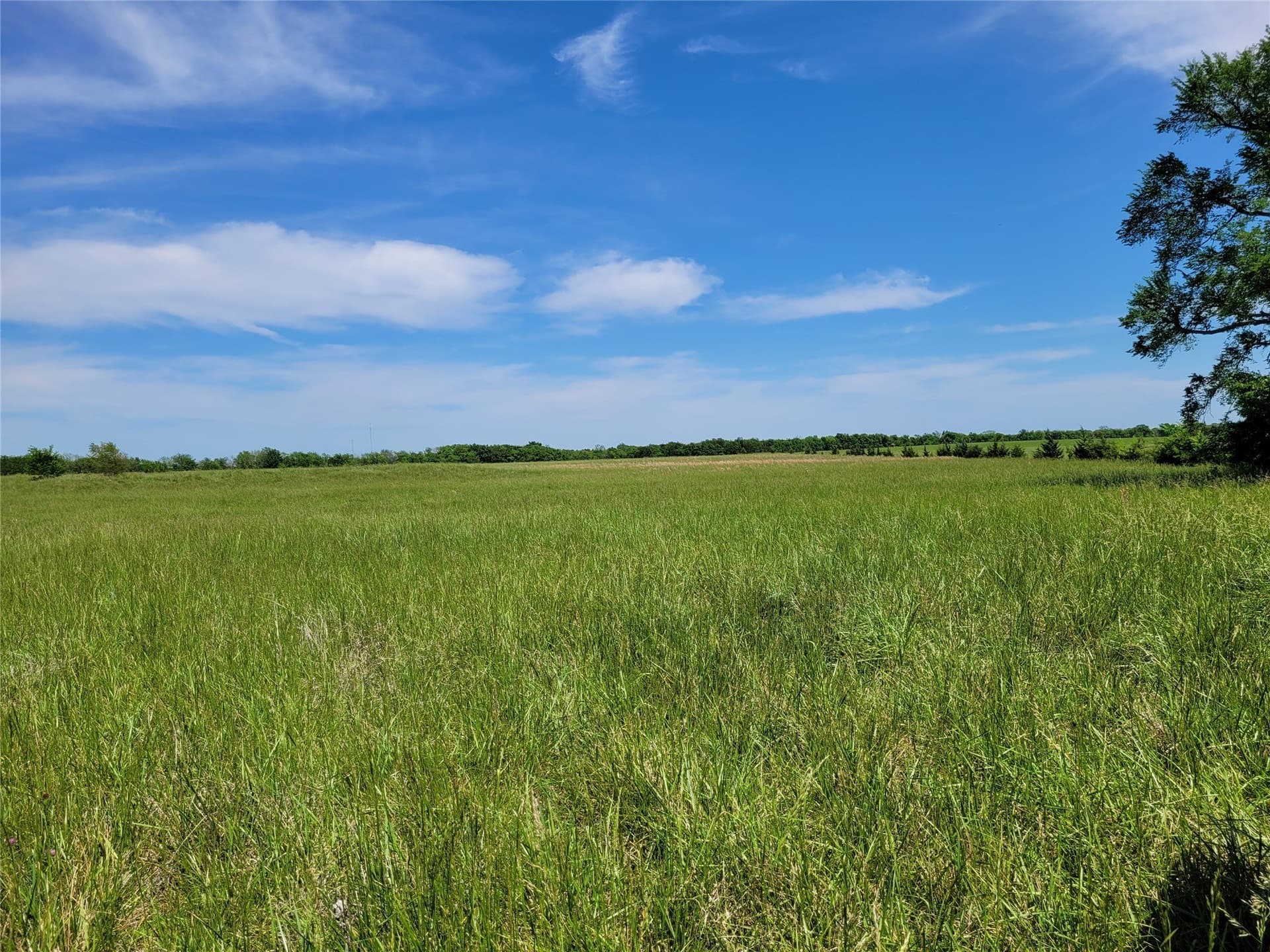 30 acres in Red River (TX) County gallery image 3