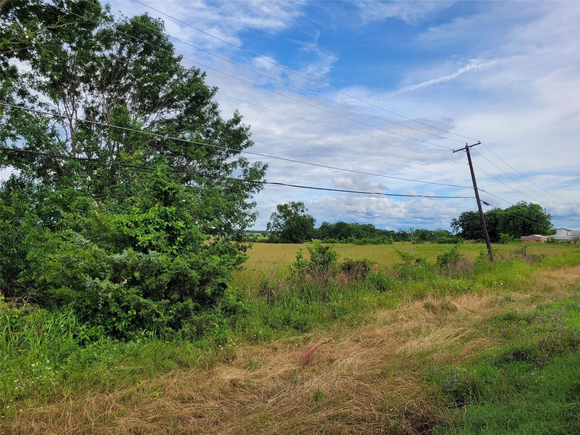 30 acres in Red River (TX) County featured view