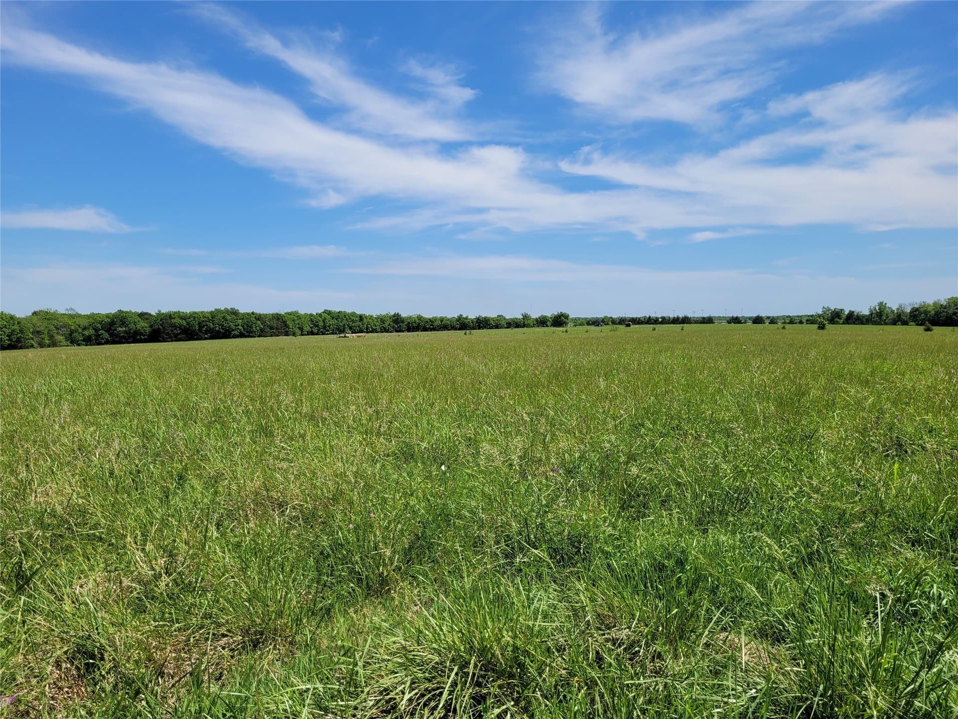 30 acres in Red River (TX) County - photo 11
