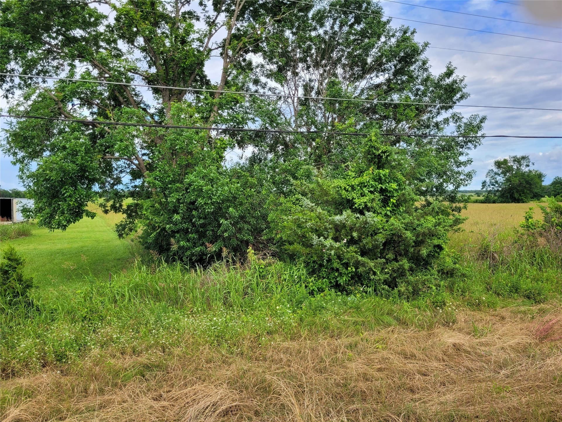 30 acres in Red River (TX) County - photo 27