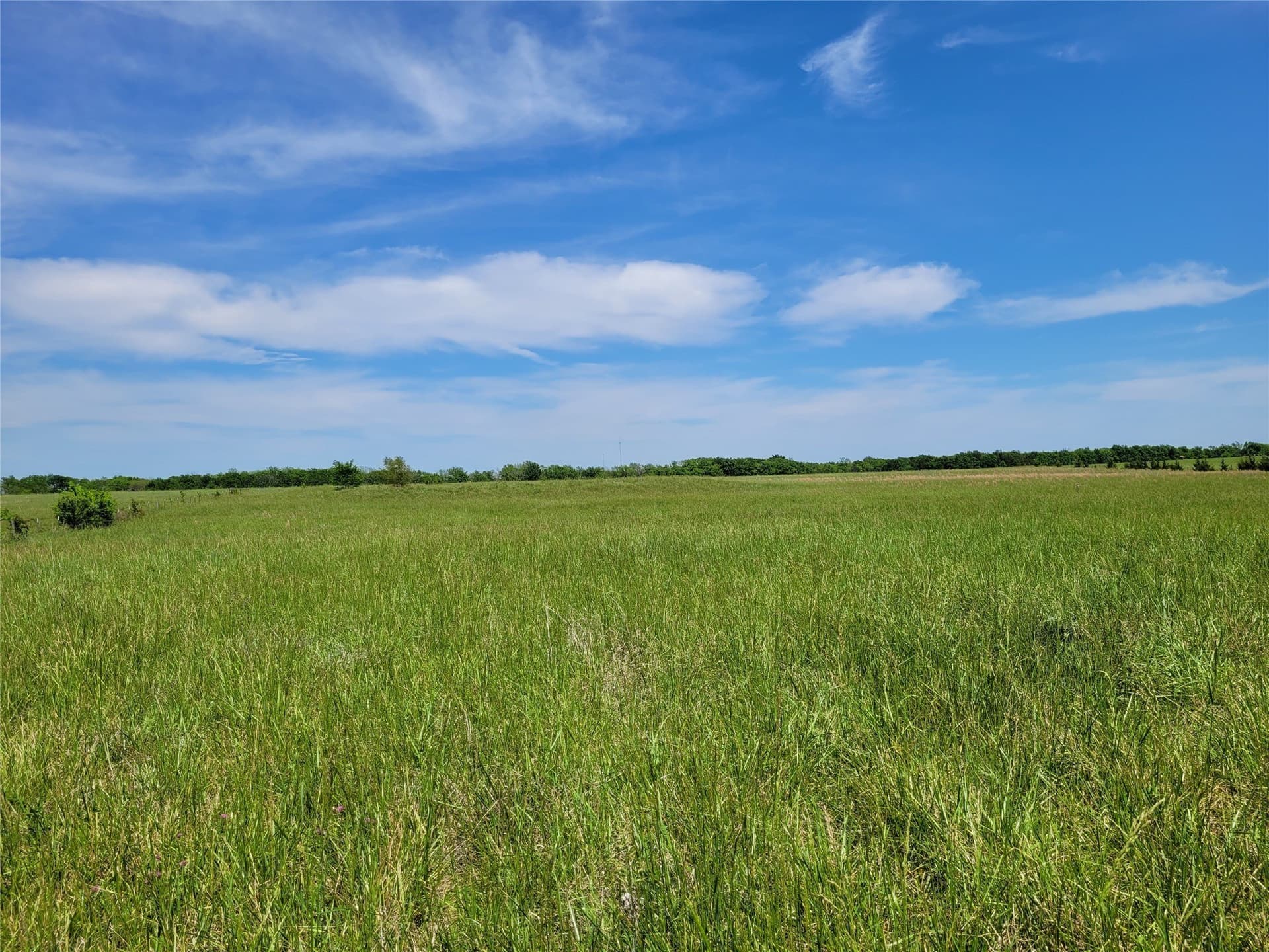 30 acres in Red River (TX) County gallery image 2
