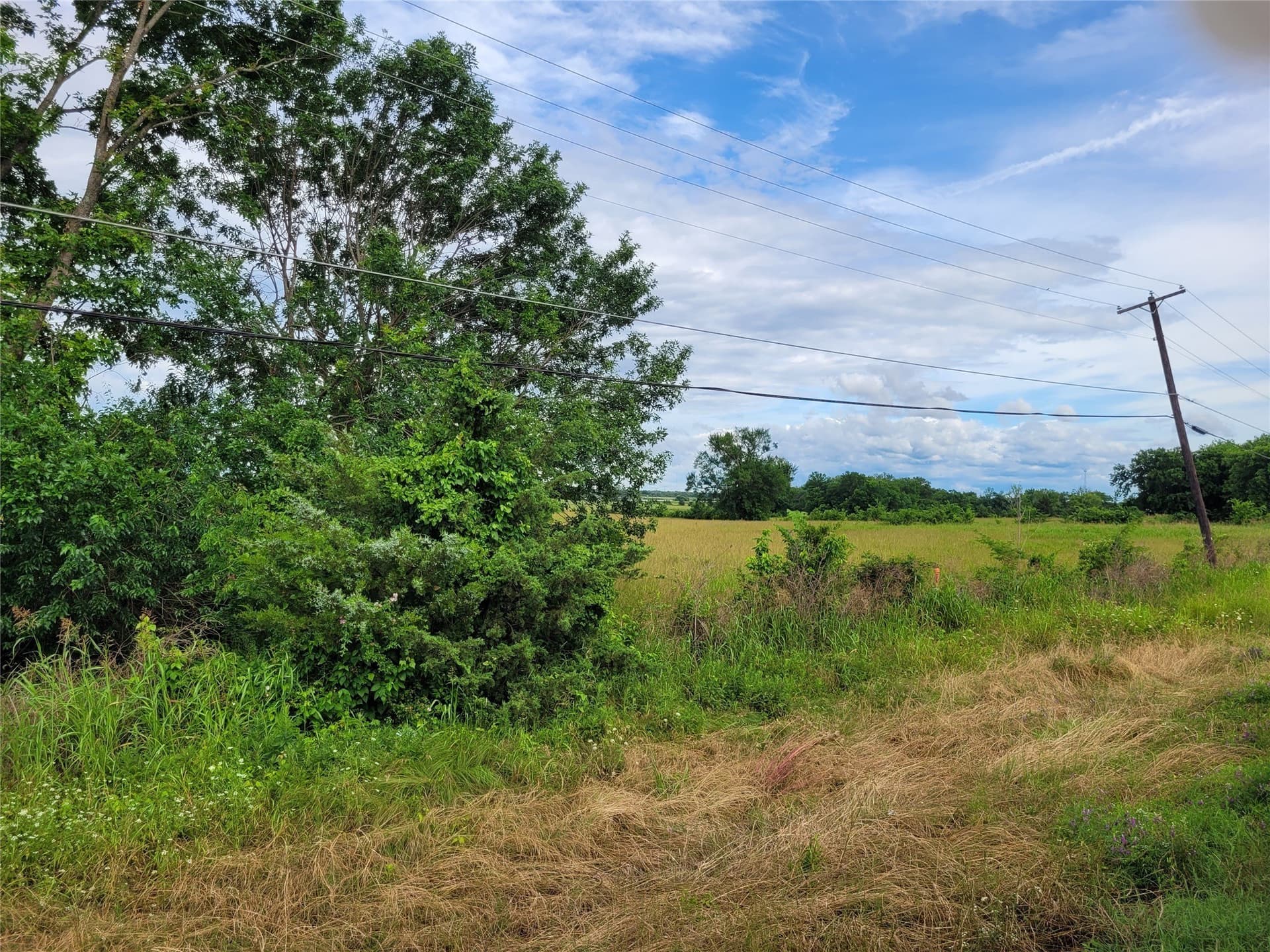 30 acres in Red River (TX) County gallery image 4