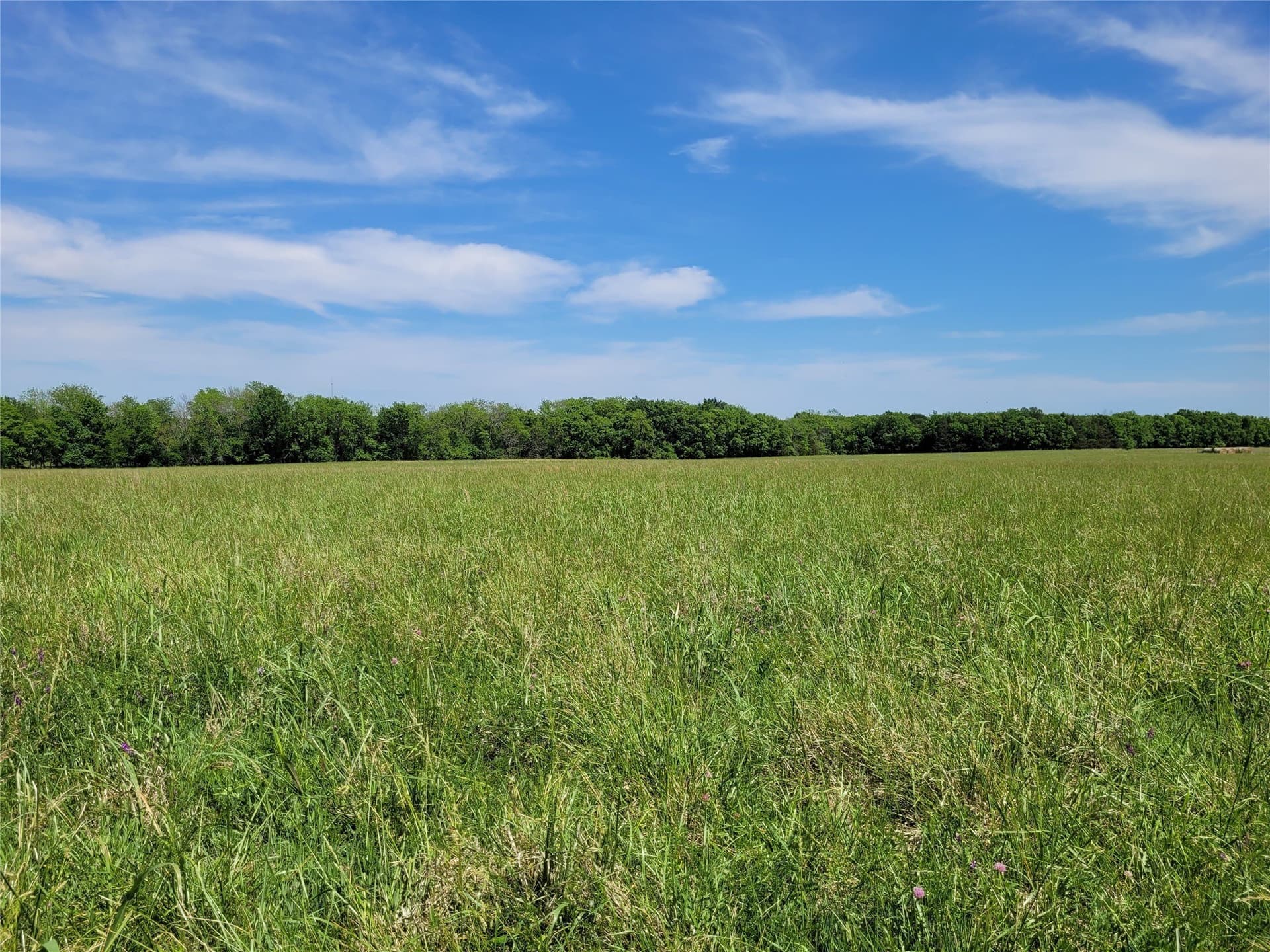 30 acres in Red River (TX) County - photo 12
