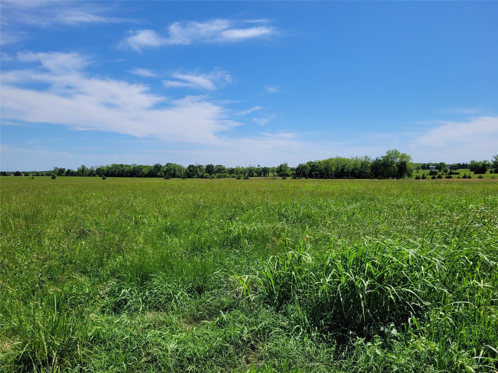 30 acres in Red River (TX) County - photo 10