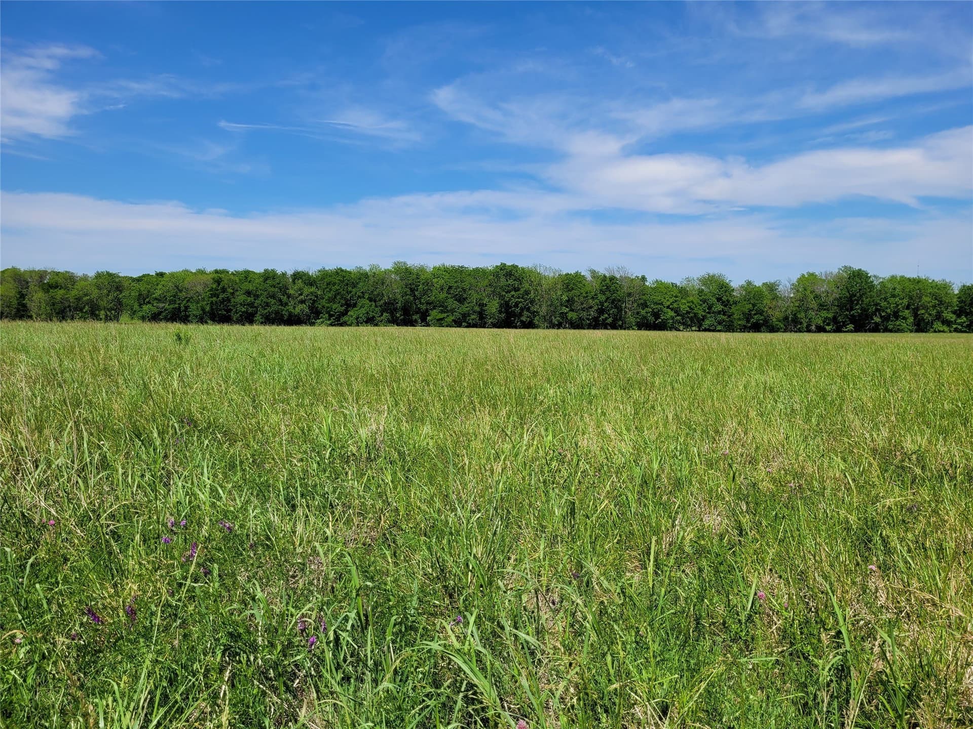 30 acres in Red River (TX) County - photo 13