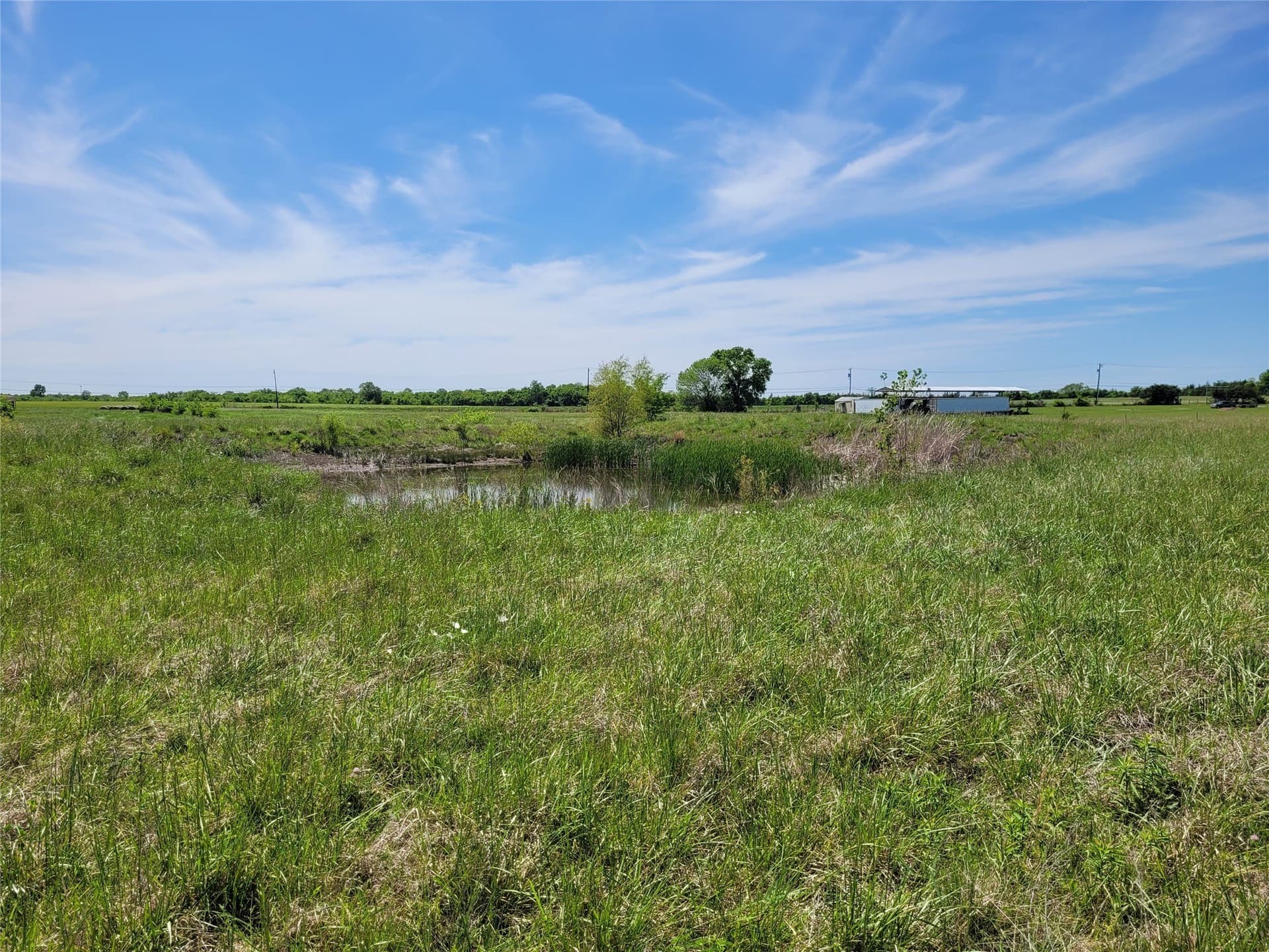 30 acres in Red River (TX) County - photo 19