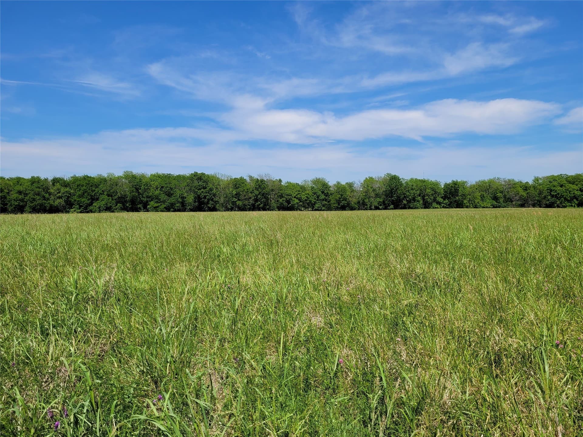 30 acres in Red River (TX) County - photo 14
