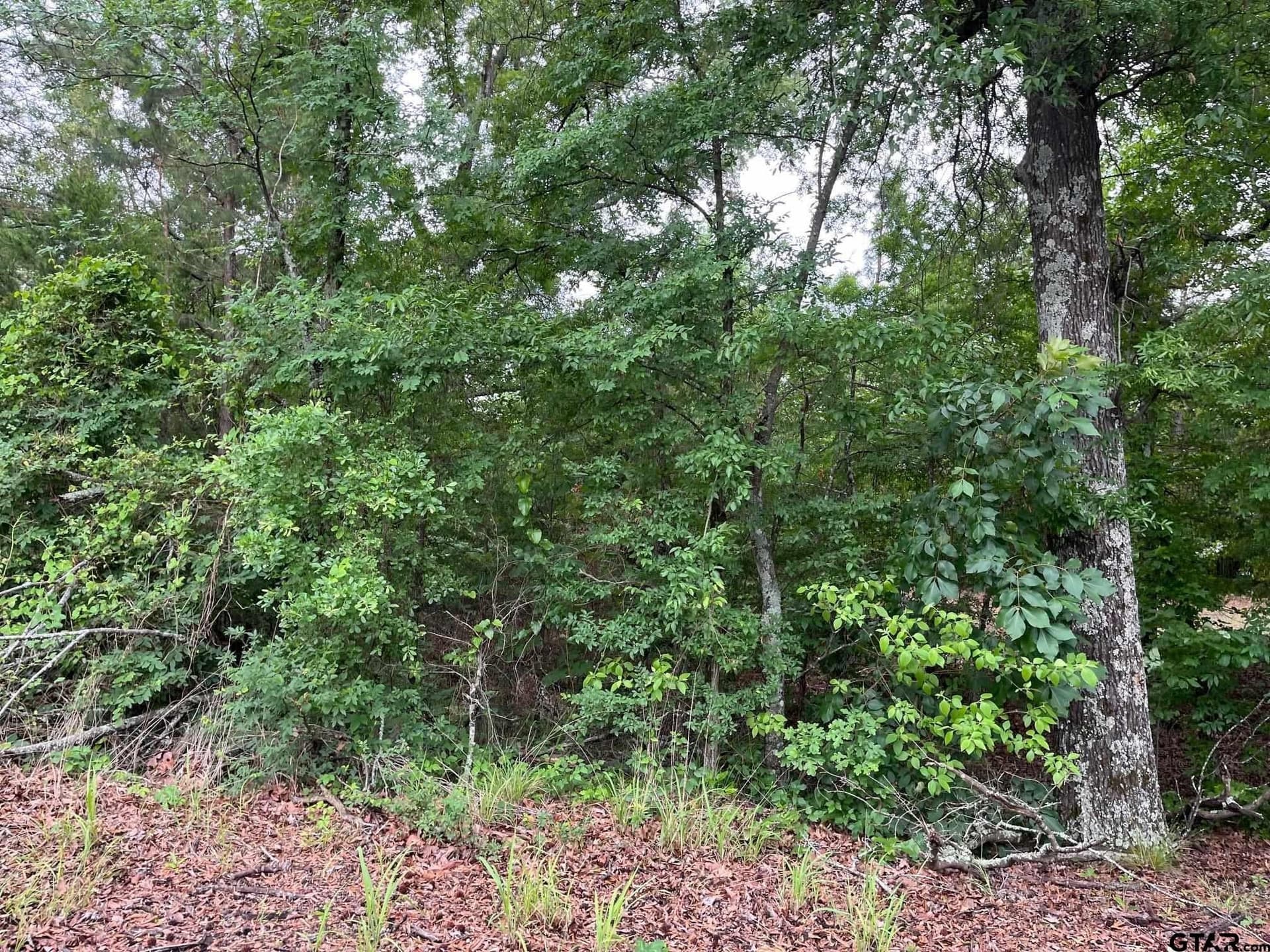 28.58 acres in Wood County gallery image 2