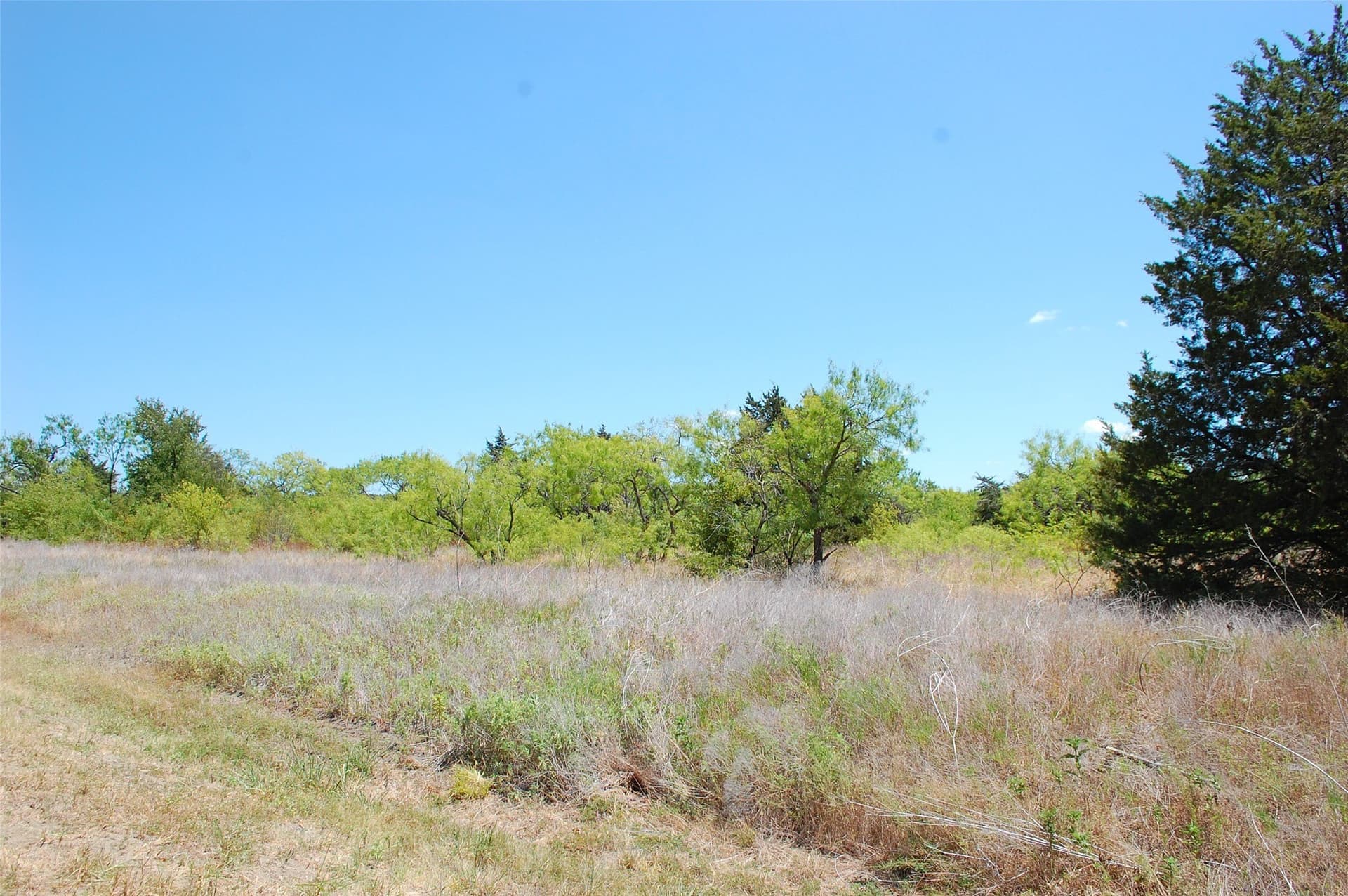 10.2 acres in Kaufman County - photo 7