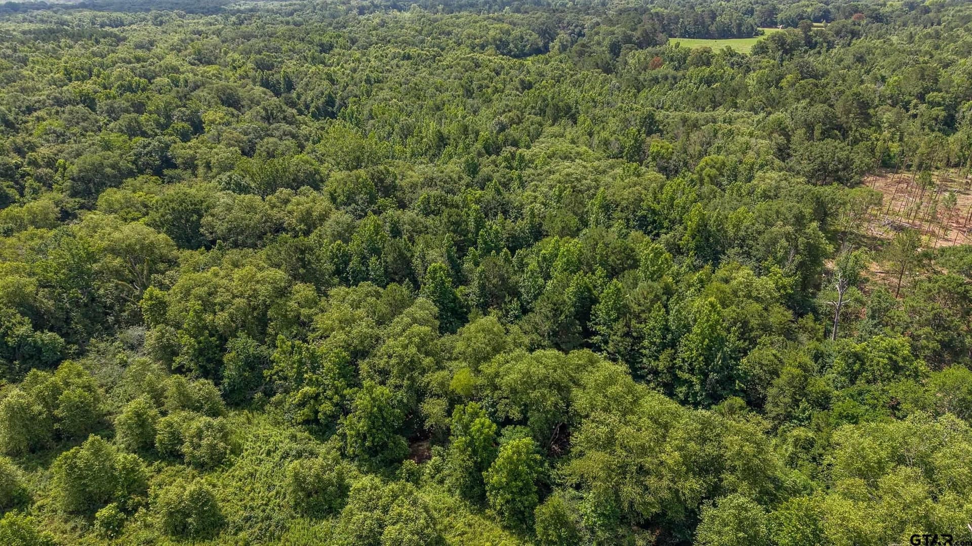 110.08 acres in Smith County - photo 16
