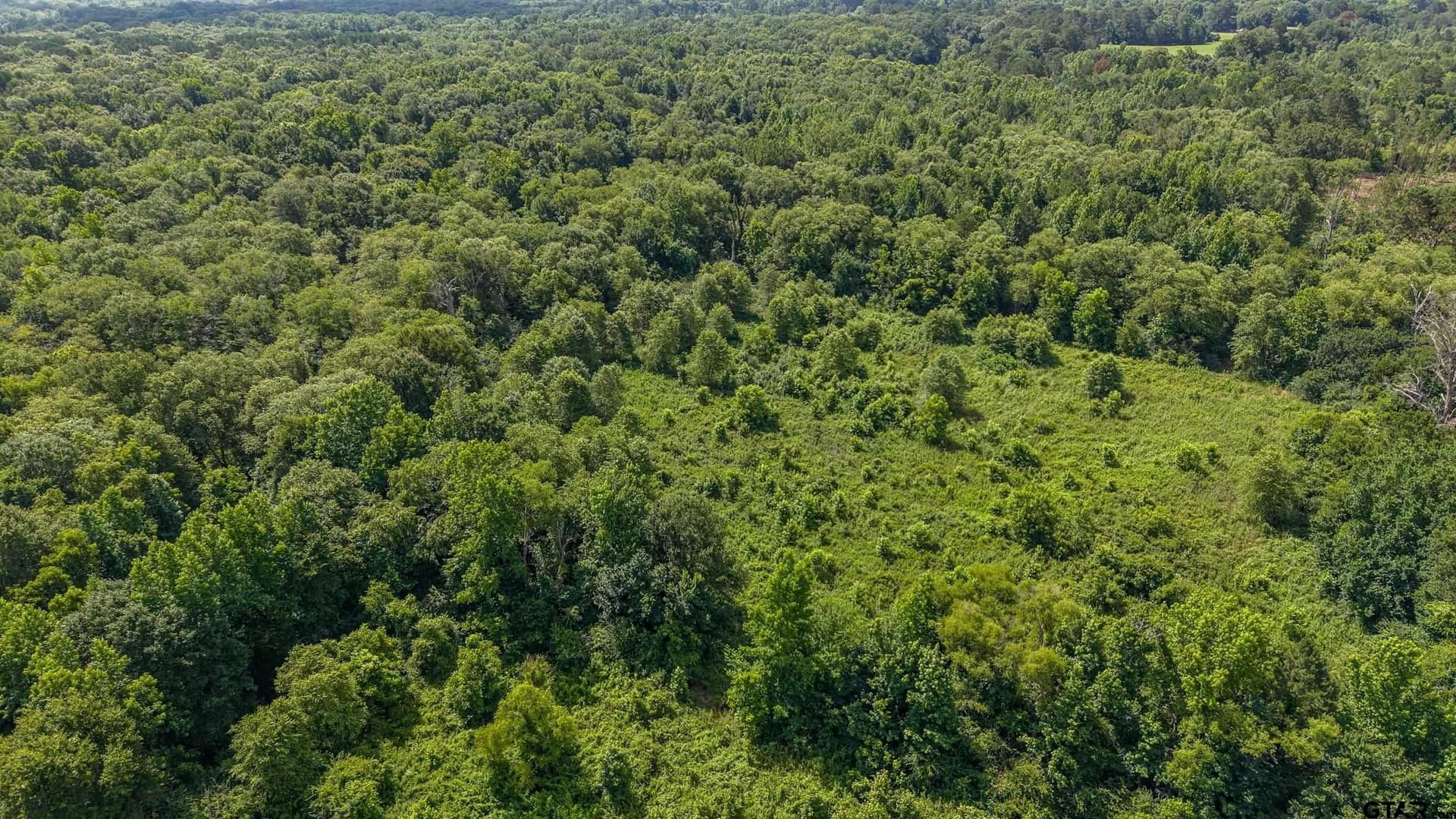 110.08 acres in Smith County - photo 15