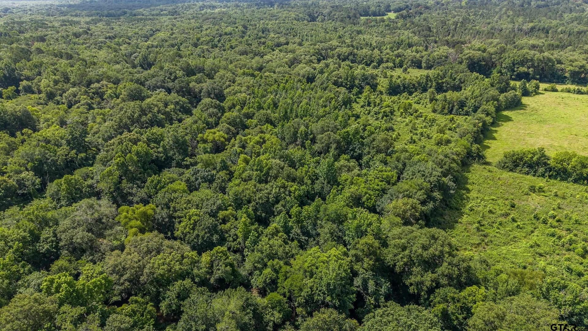 110.08 acres in Smith County - photo 12