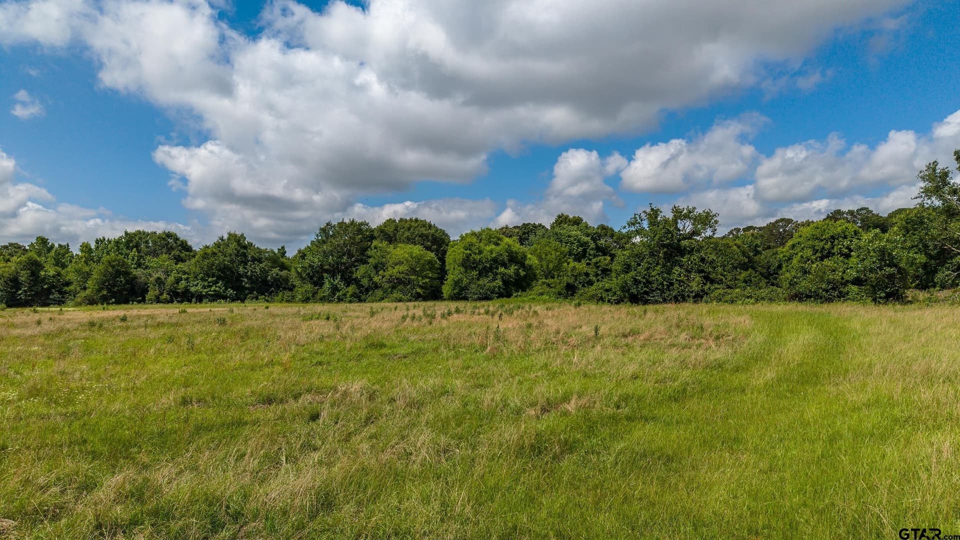 110.08 acres in Smith County gallery image 4